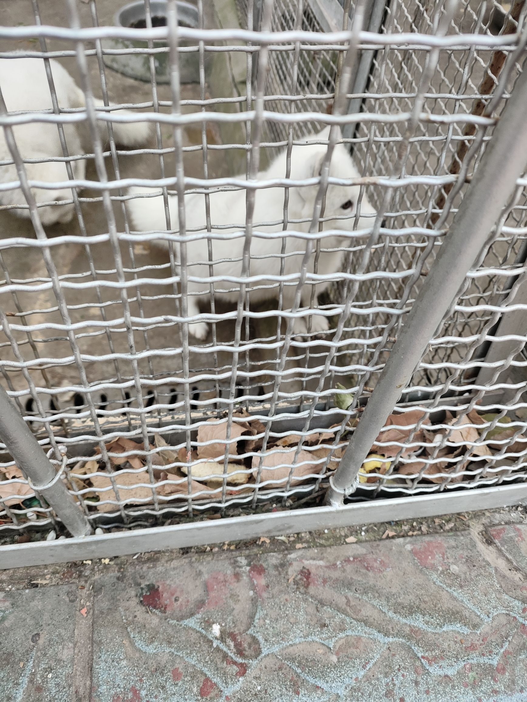 淄博动物园旅行图片 1