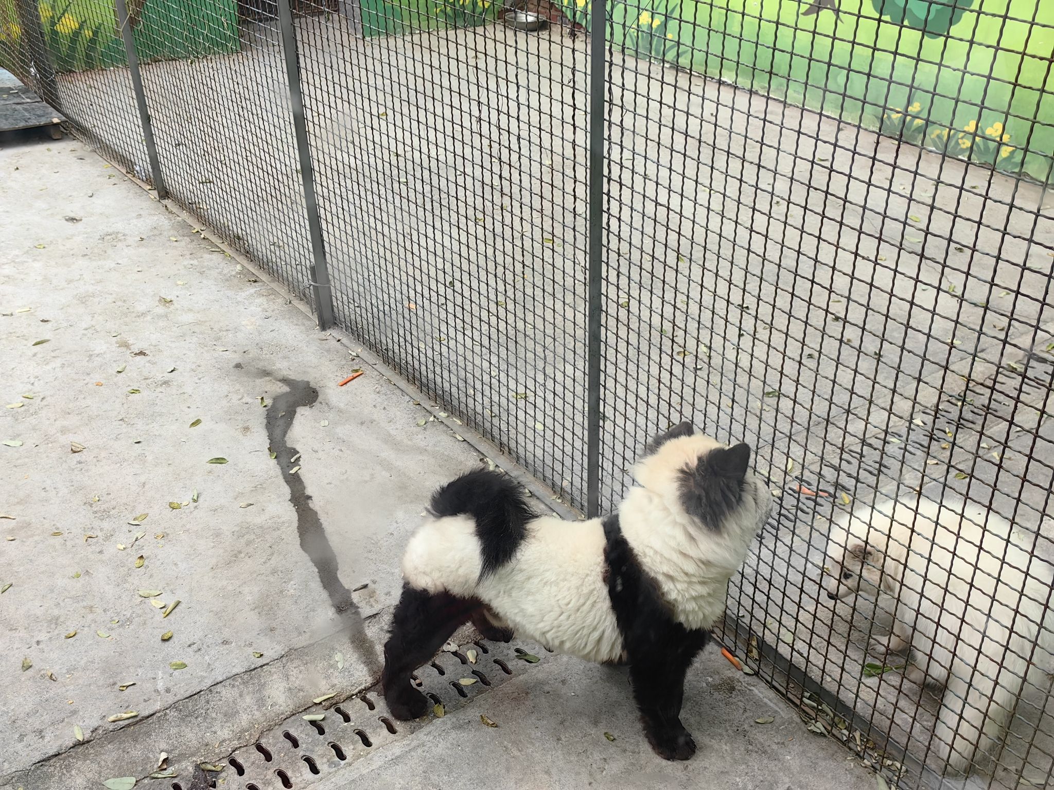 淄博动物园旅行图片 1