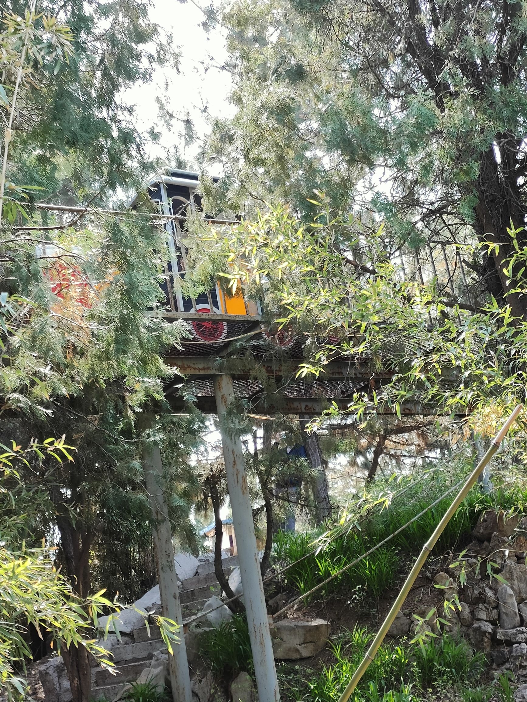 莲花山公园旅行图片 3