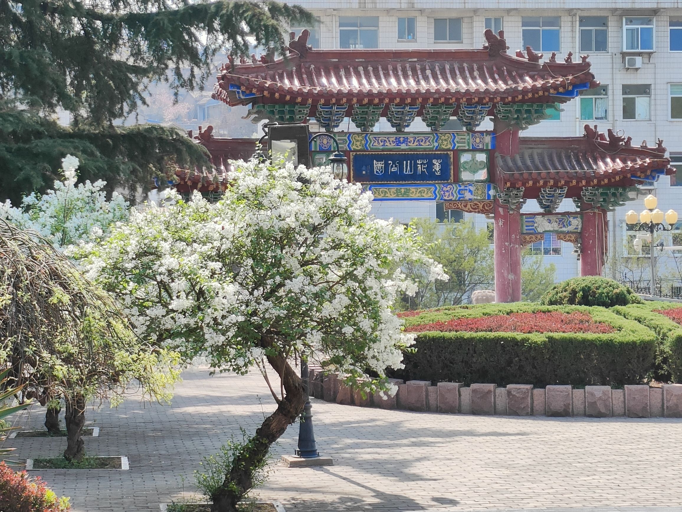 莲花山公园旅行图片 1