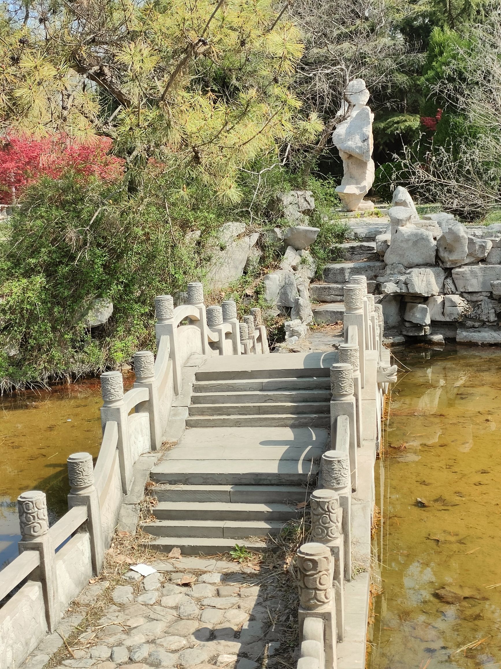莲花山公园旅行图片 2