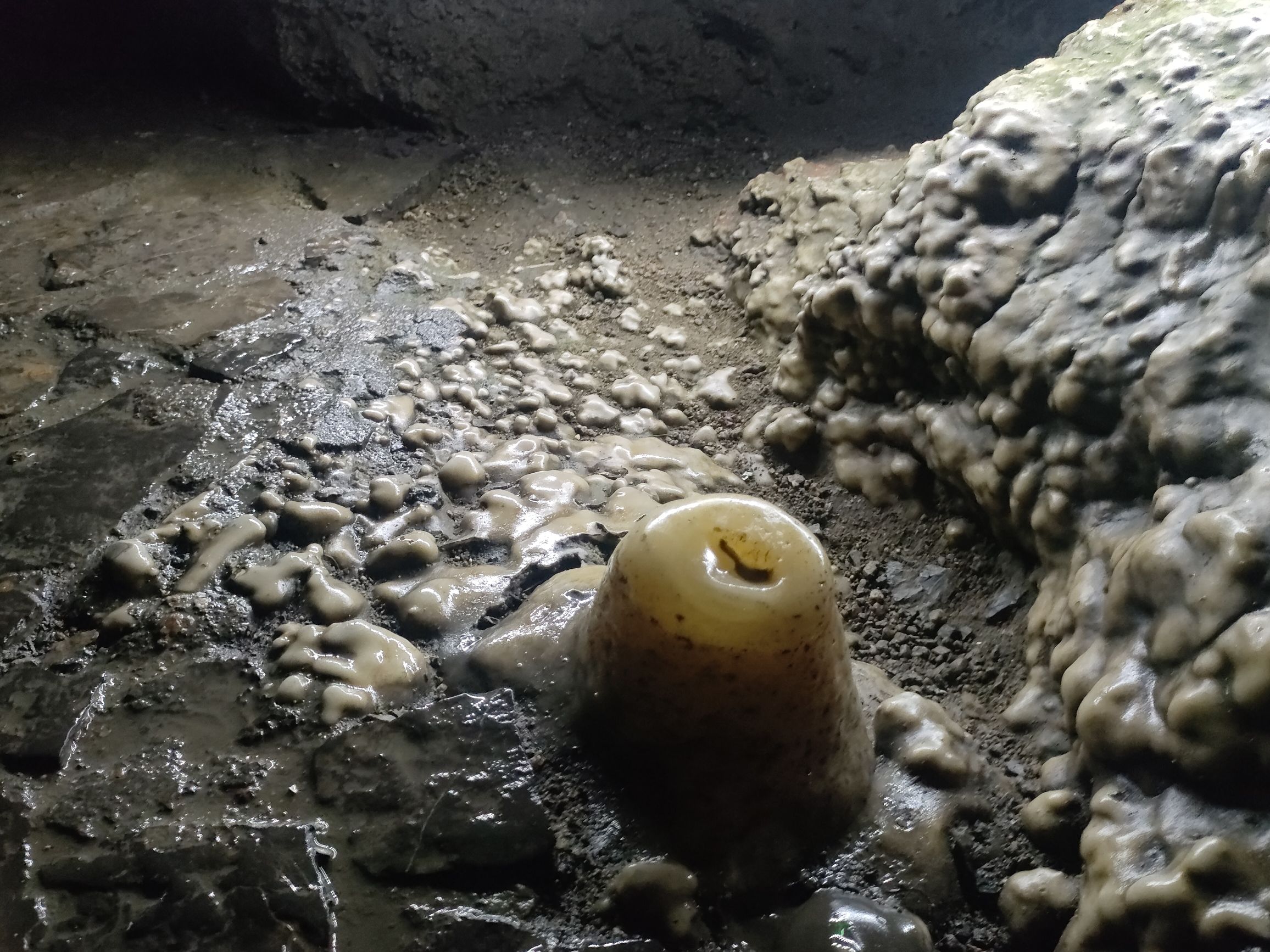 开元溶洞旅行图片 3