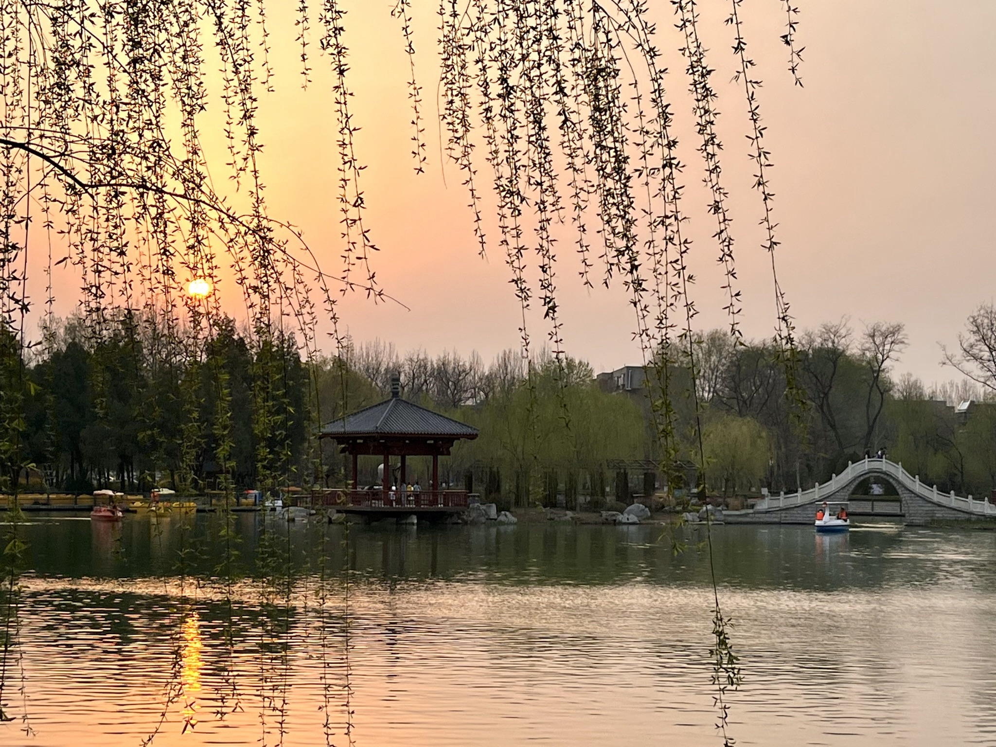 淄博人民公园旅行图片 2