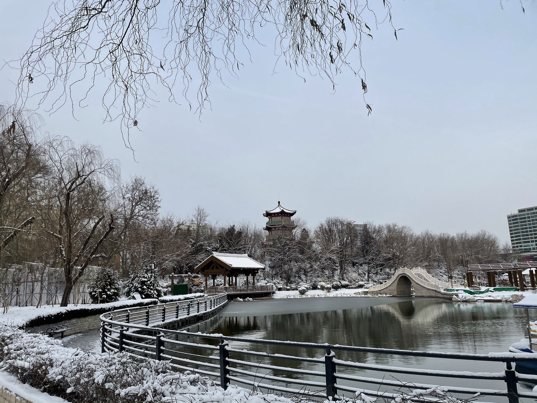 淄博人民公园旅行图片 2