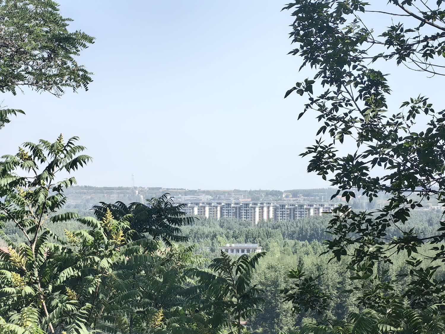 萌山公园旅行图片 3