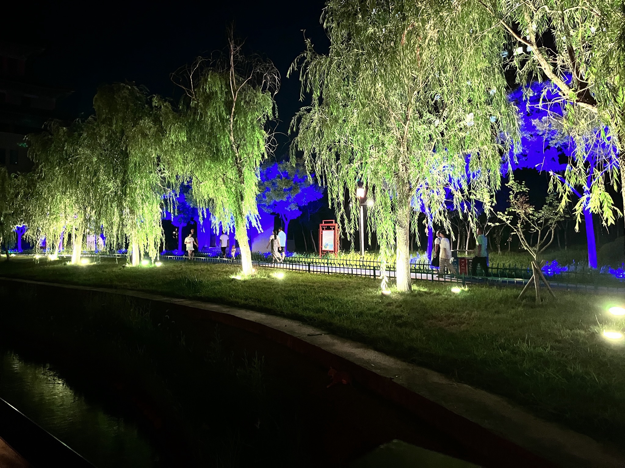 高青县千乘湖生态文化园旅行图片 2