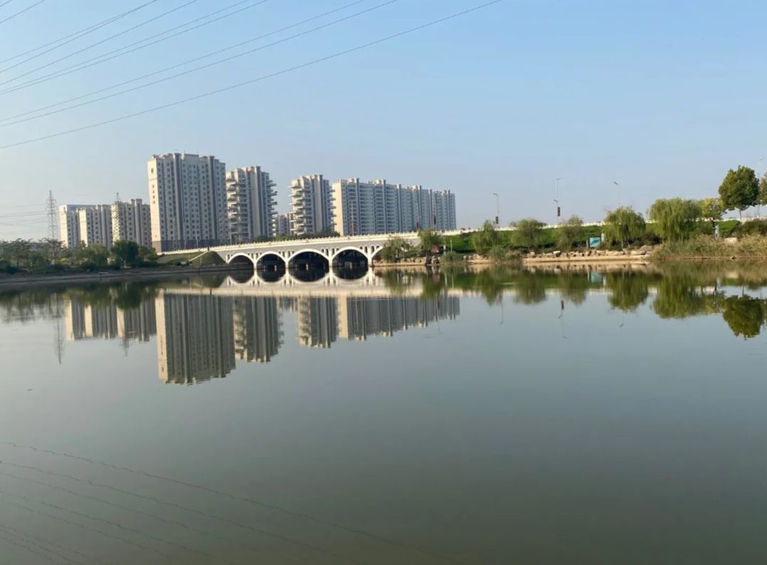 高青县千乘湖生态文化园旅行图片 3