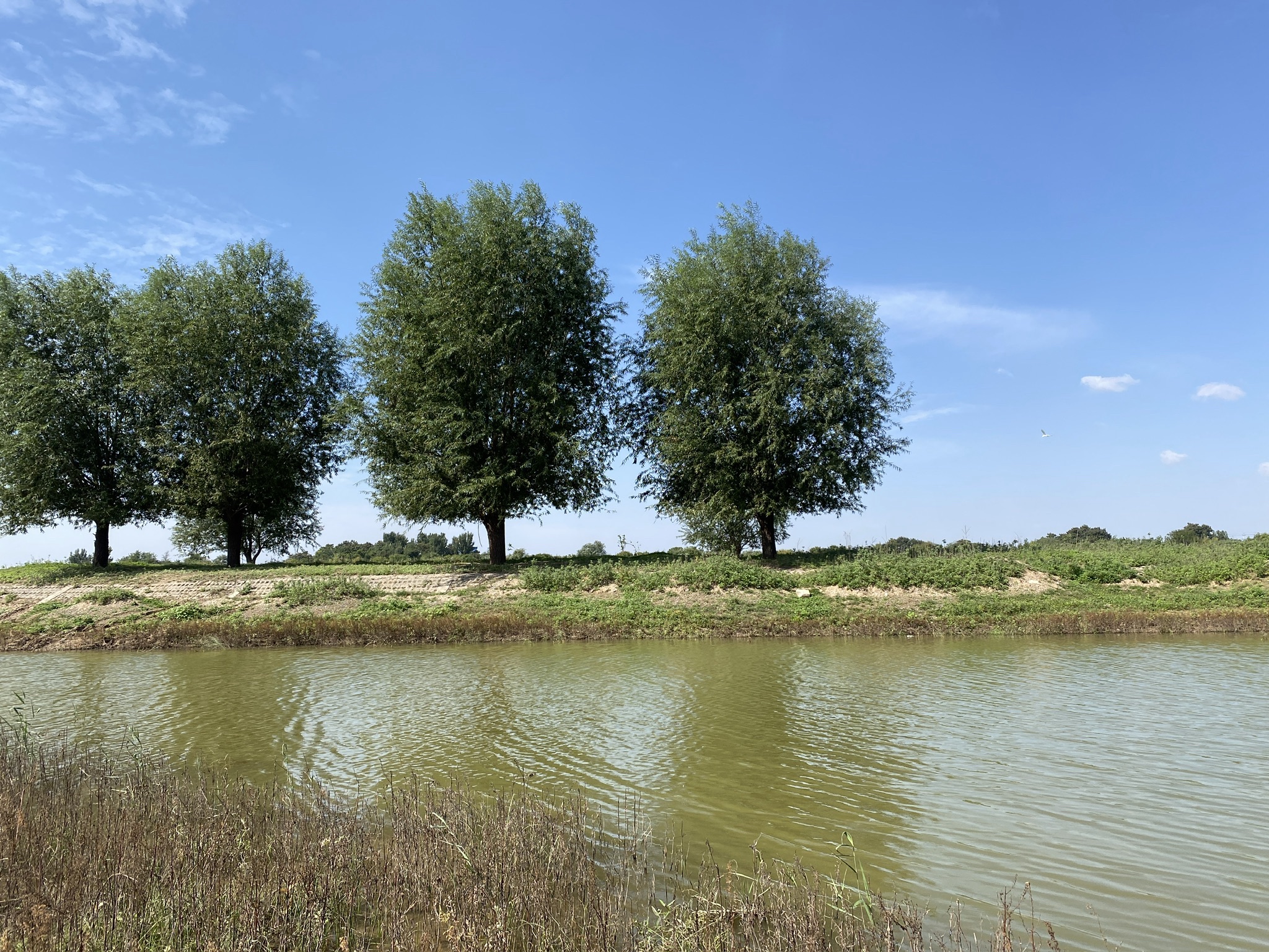 月牙湾旅行图片 2