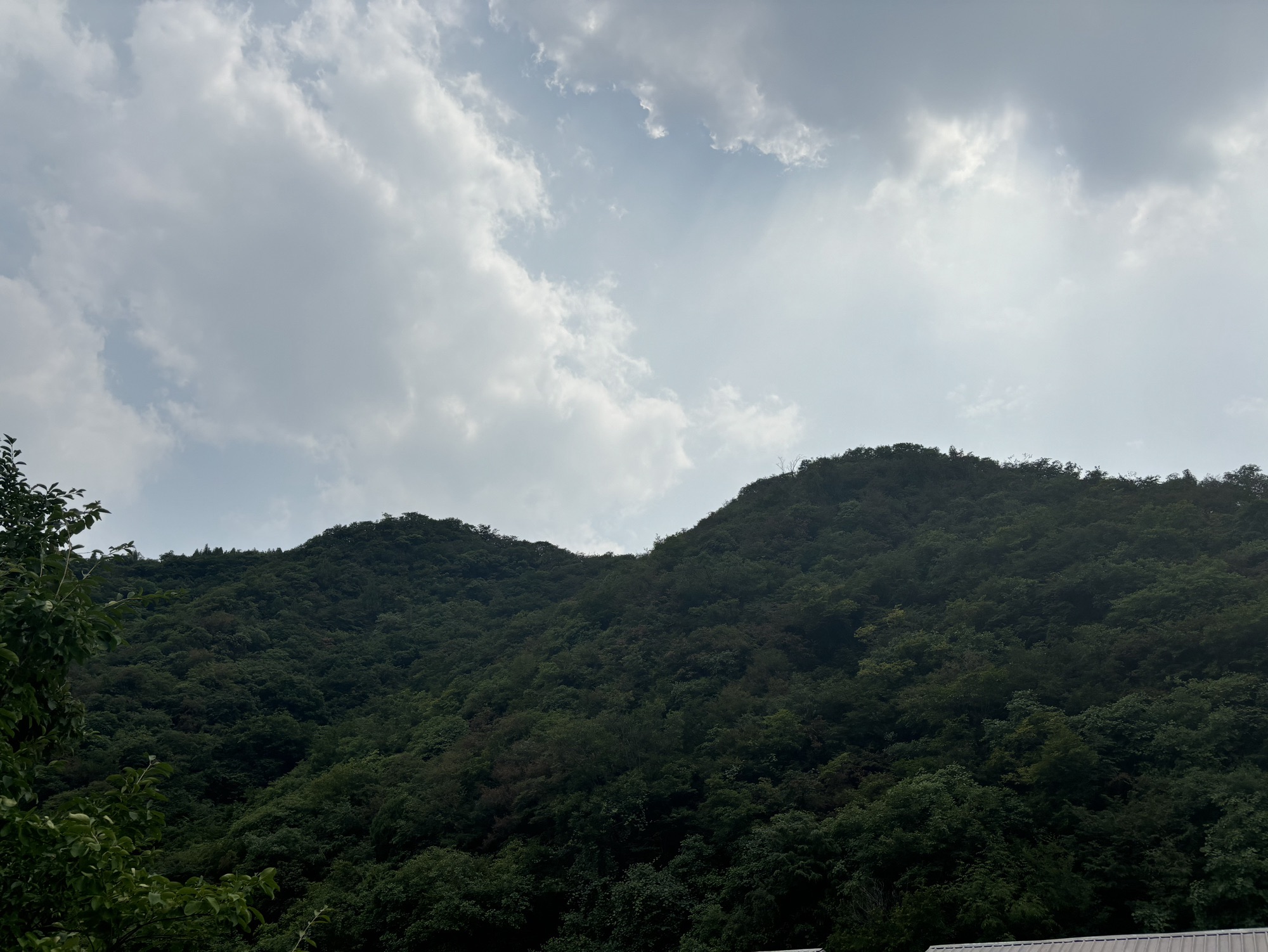 姚家峪生态旅游度假区旅行图片 3