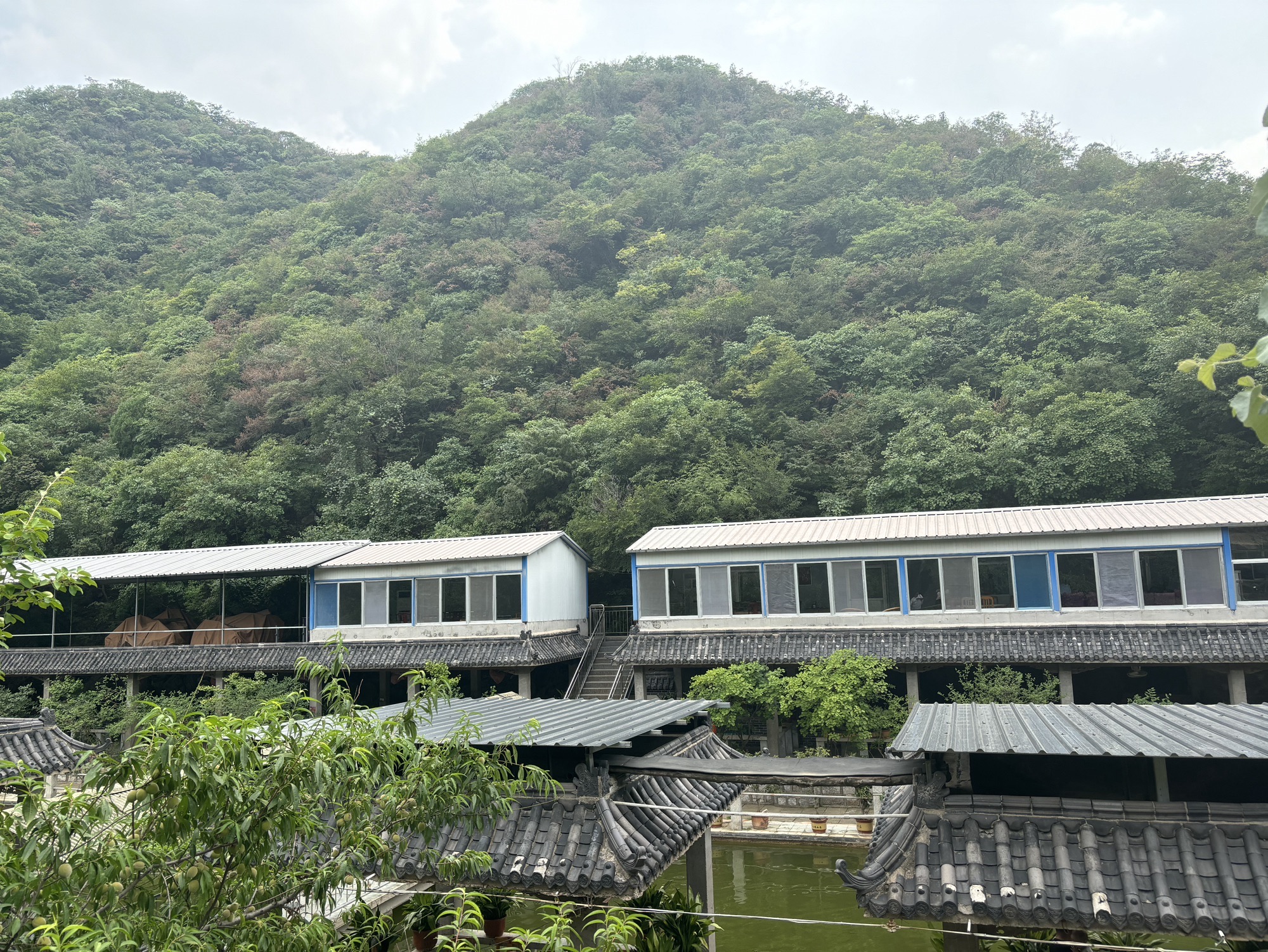 姚家峪生态旅游度假区旅行图片 1