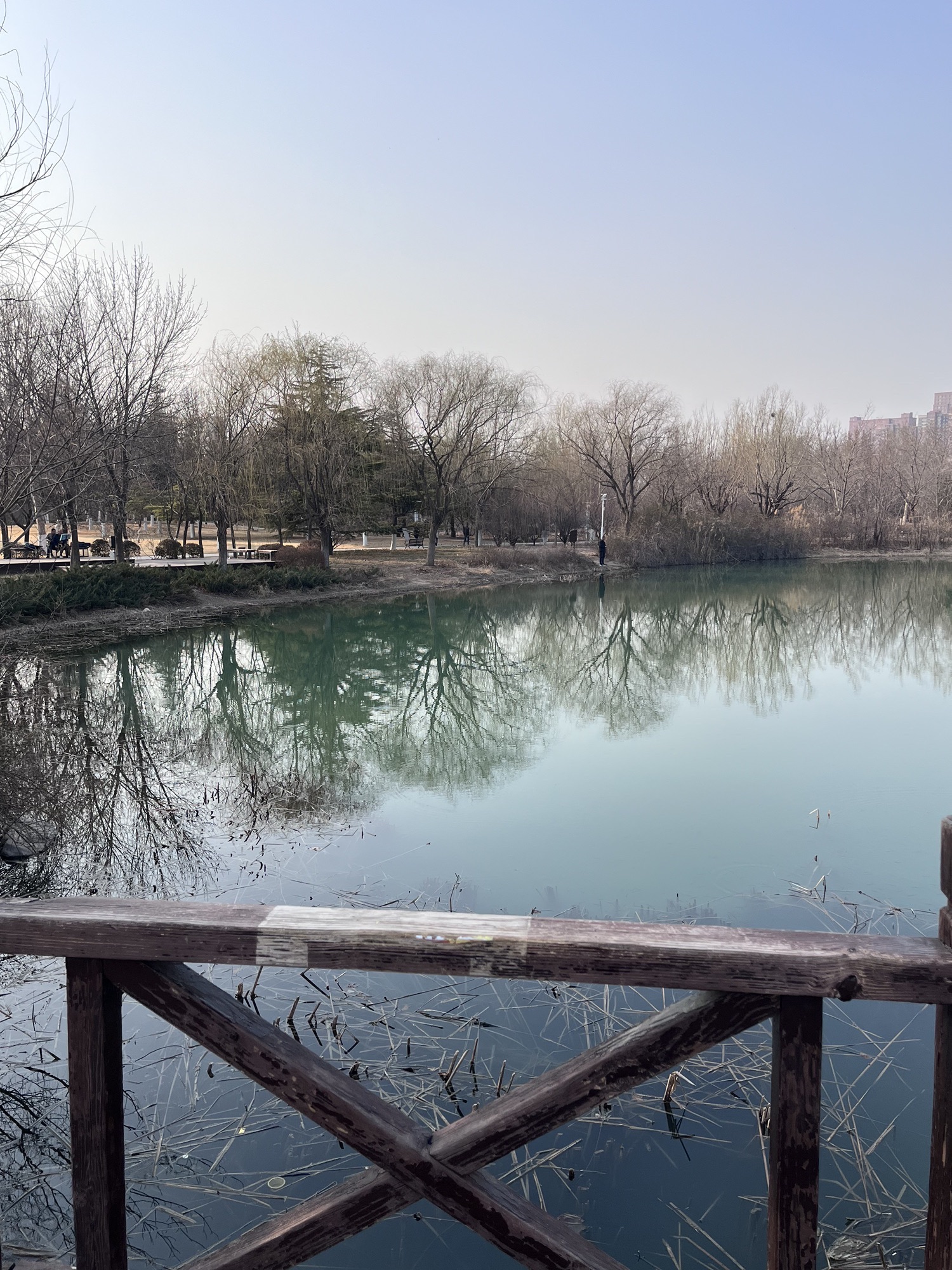 淄博市植物园旅行图片 3