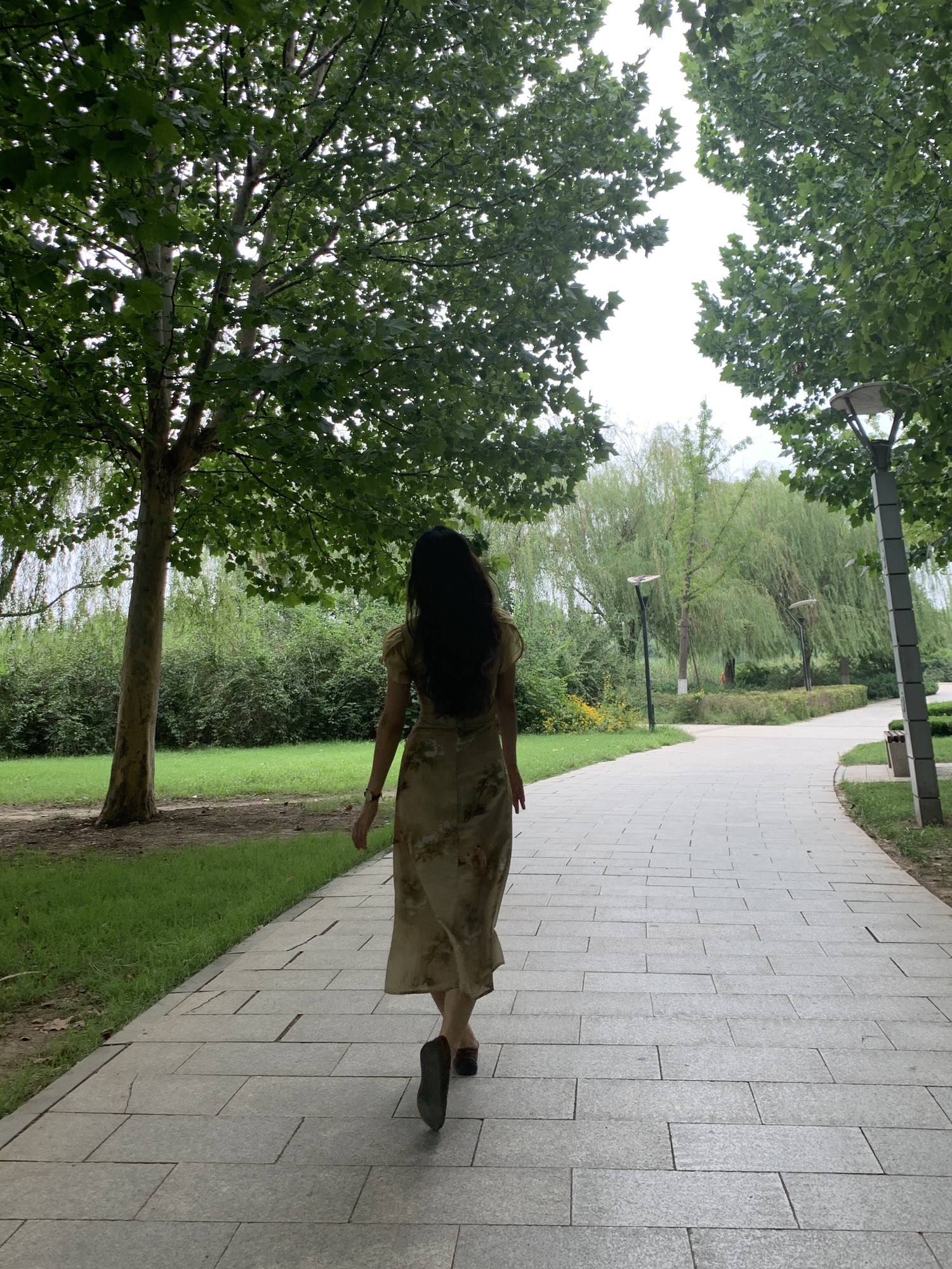 淄博市植物园旅行图片 3