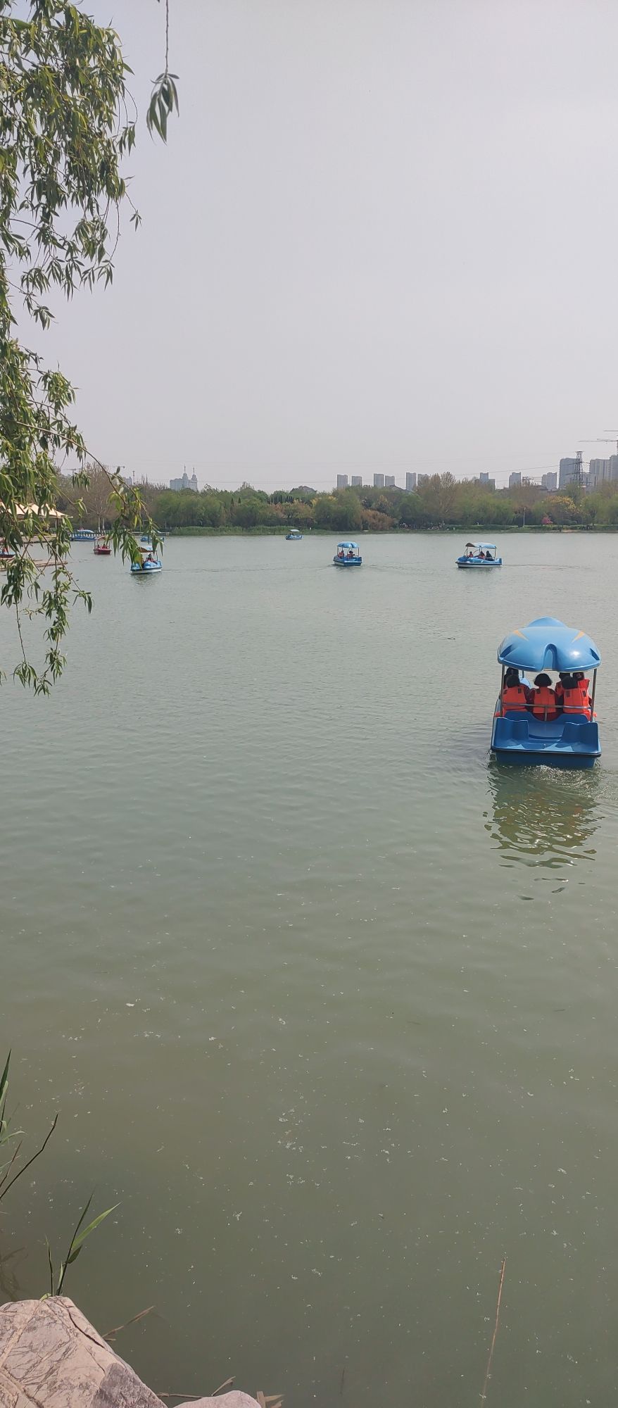 淄博市植物园旅行图片 2