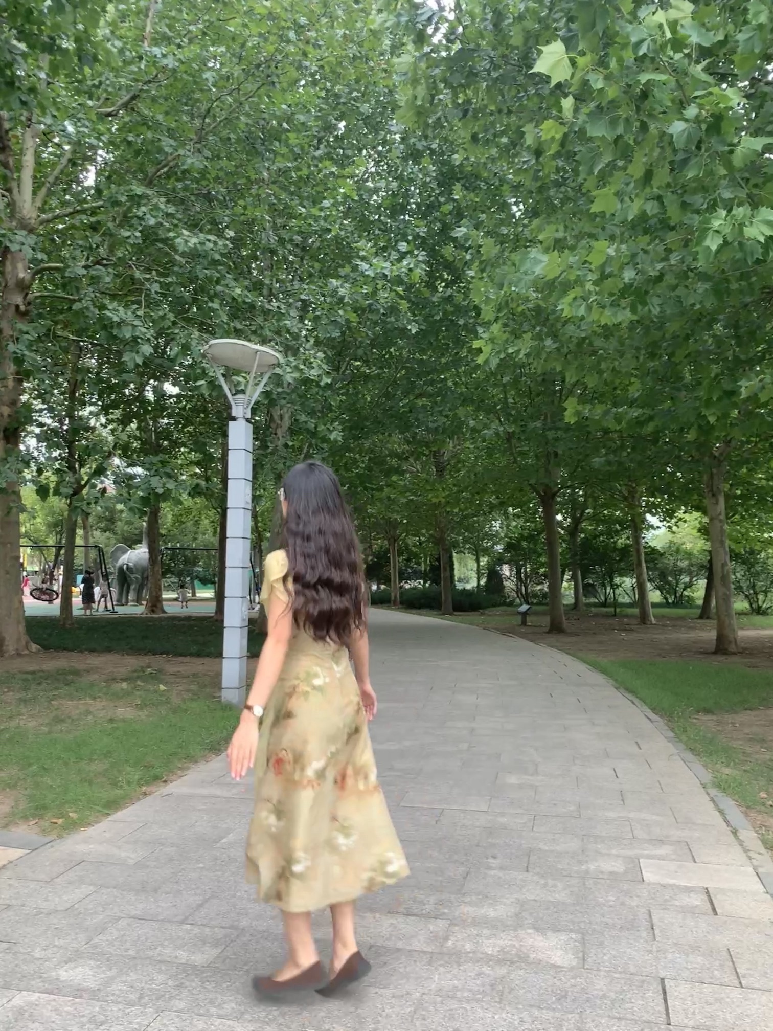 淄博市植物园旅行图片 1