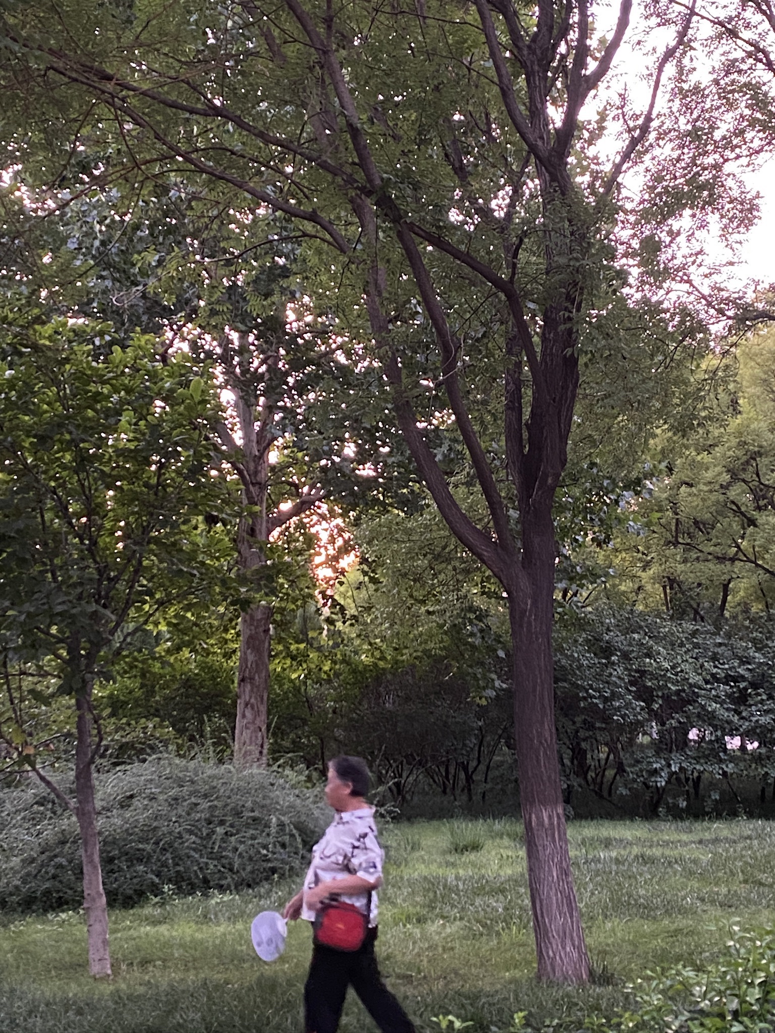 淄博市植物园旅行图片 3