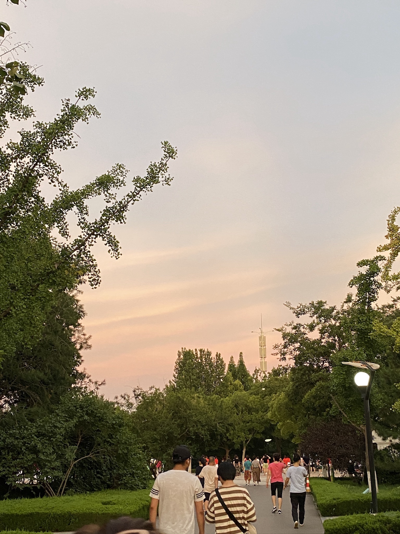 淄博市植物园旅行图片 2