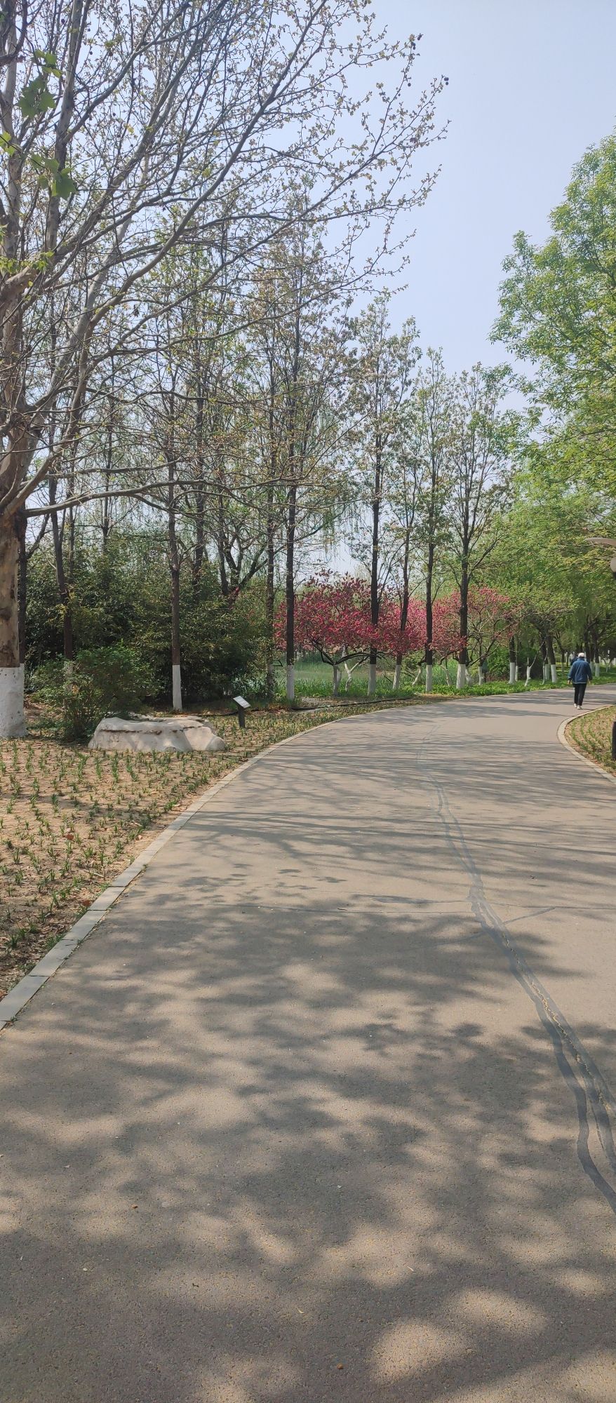 淄博市植物园旅行图片 1