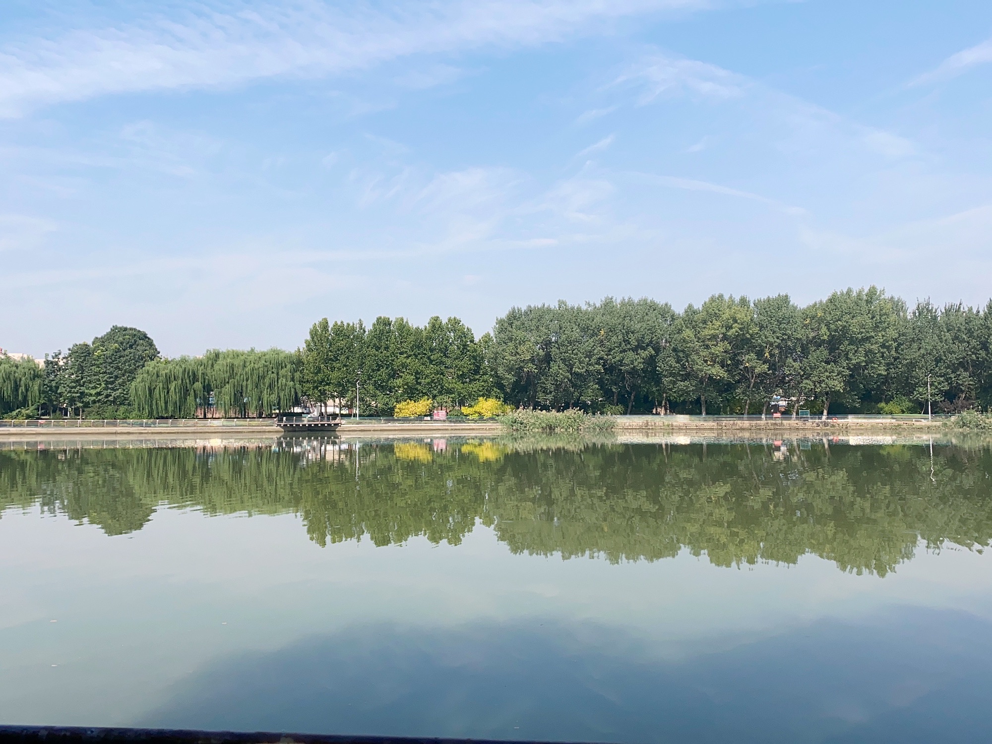 留仙湖公园旅行图片 1