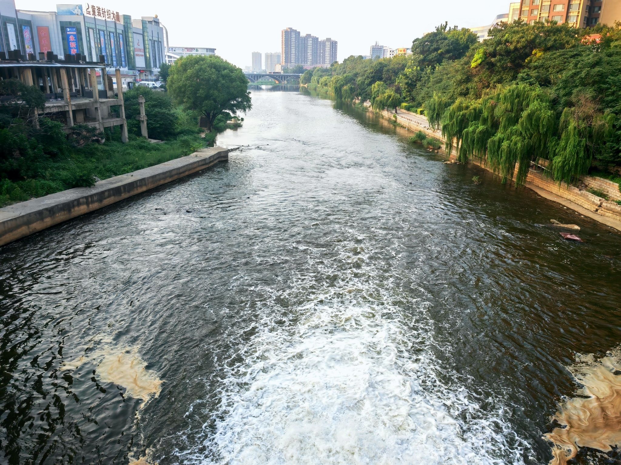 留仙湖公园旅行图片 1