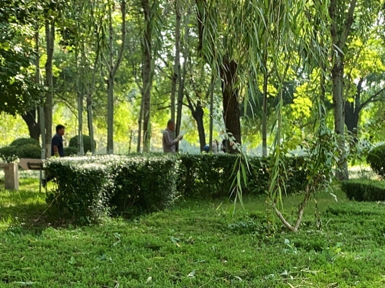 留仙湖公园旅行图片 3