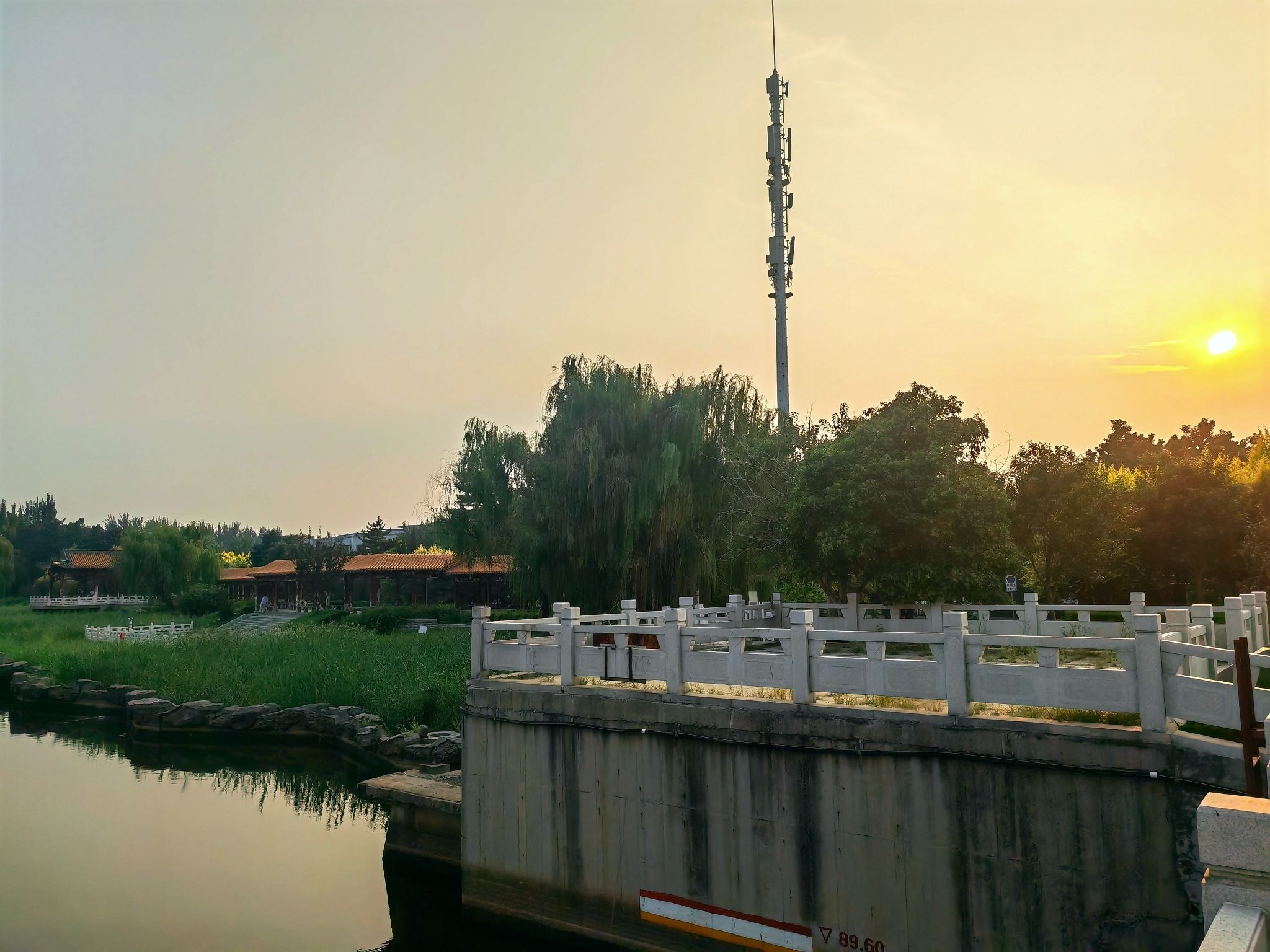 留仙湖公园旅行图片 3