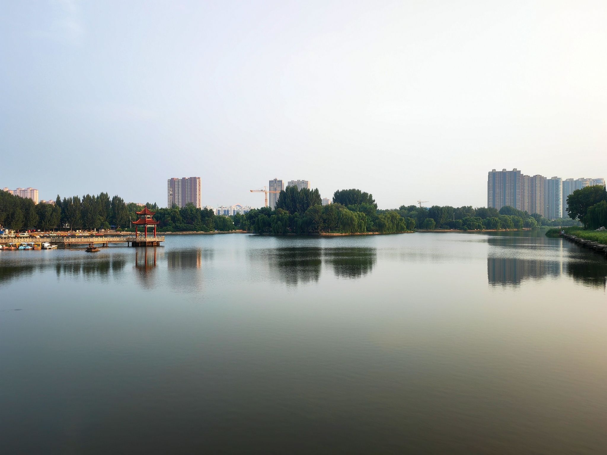 留仙湖公园旅行图片 2