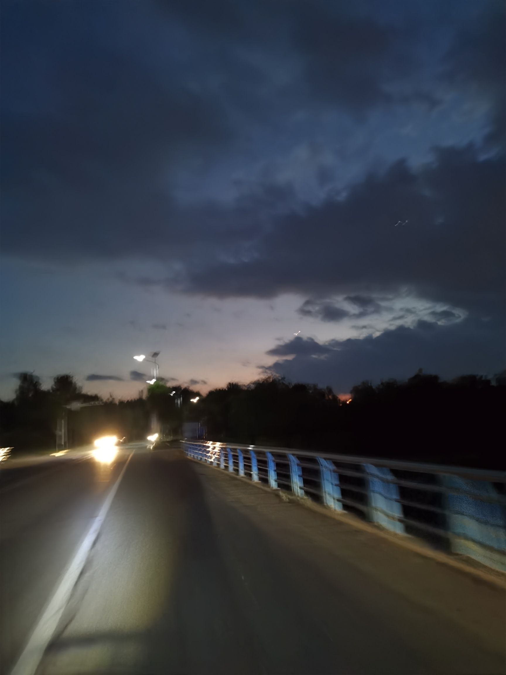 留仙湖公园旅行图片 2
