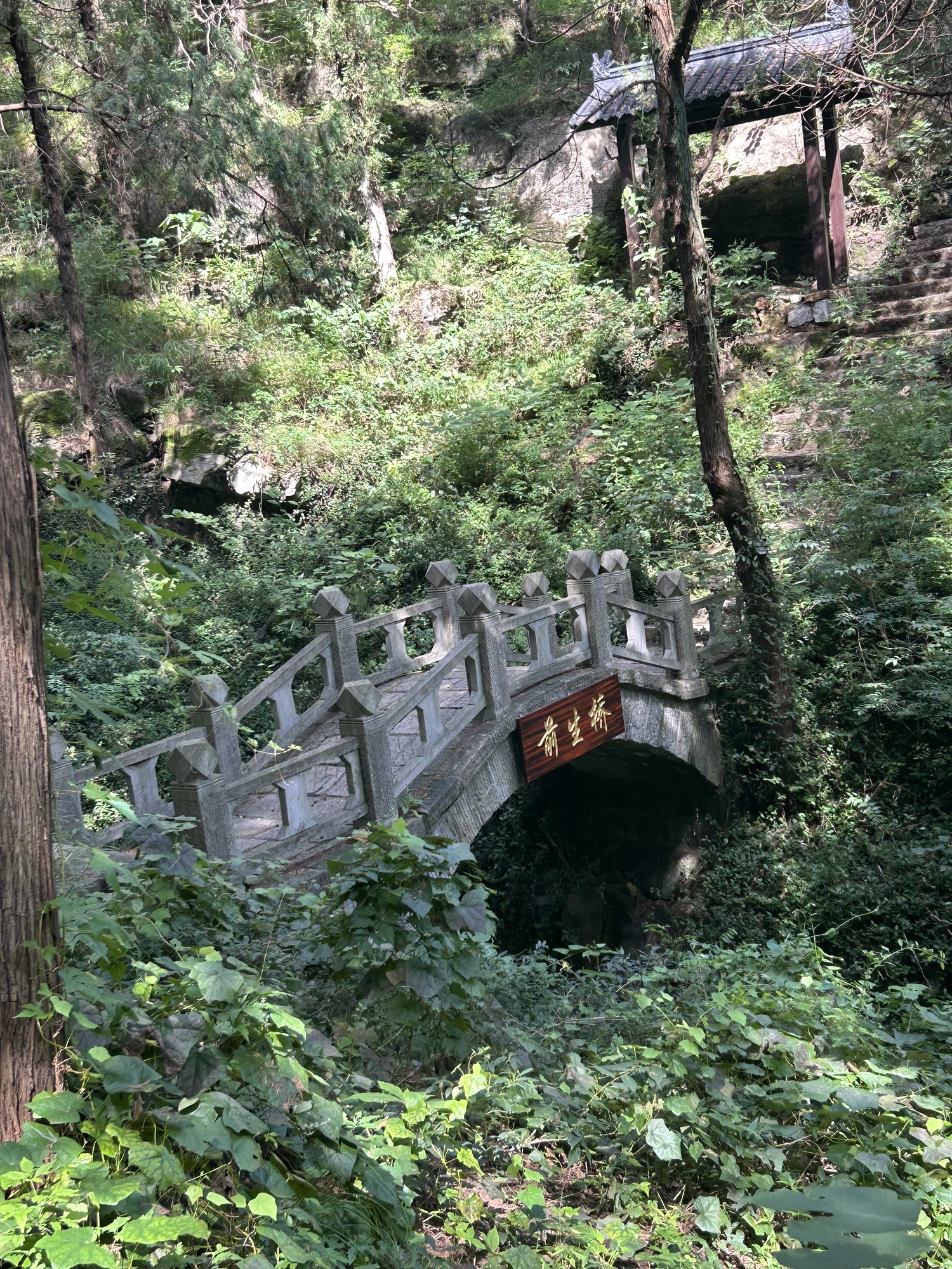 沂源牛郎织女景区旅行图片 1