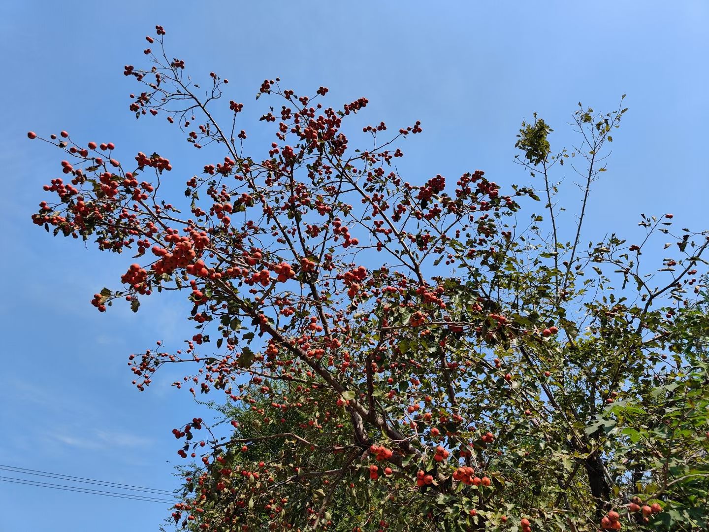 沂源牛郎织女景区旅行图片 3