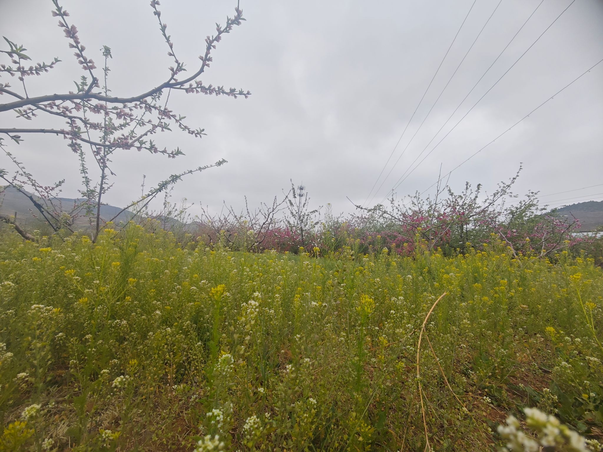 鲁中桃花源风景区旅行图片 1