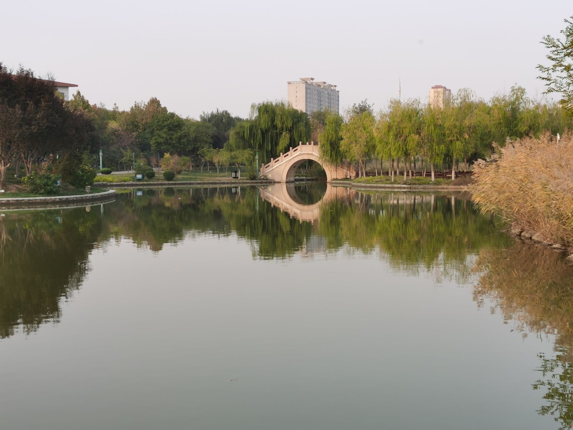 芦湖公园旅行图片 2