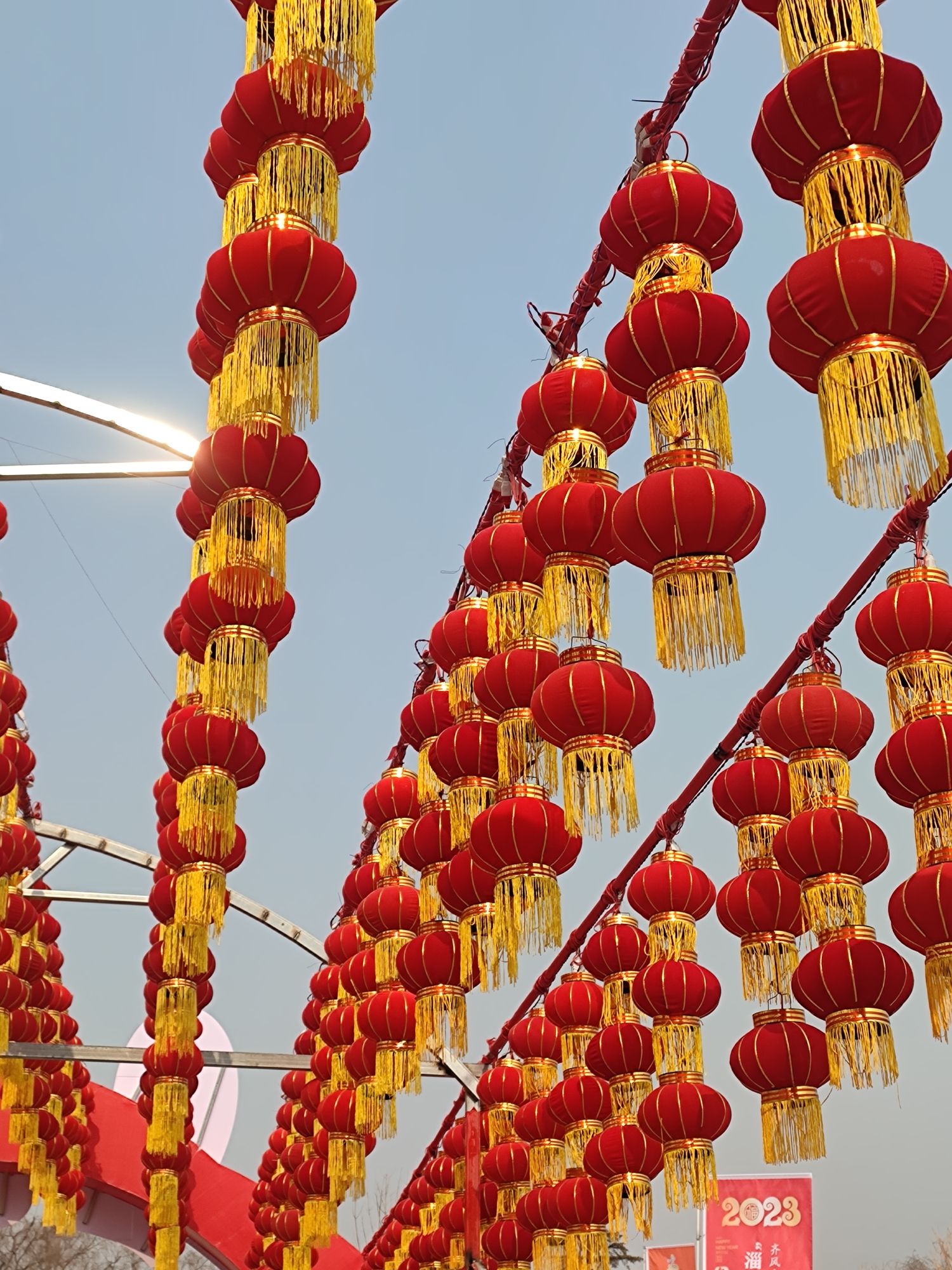芦湖公园旅行图片 1