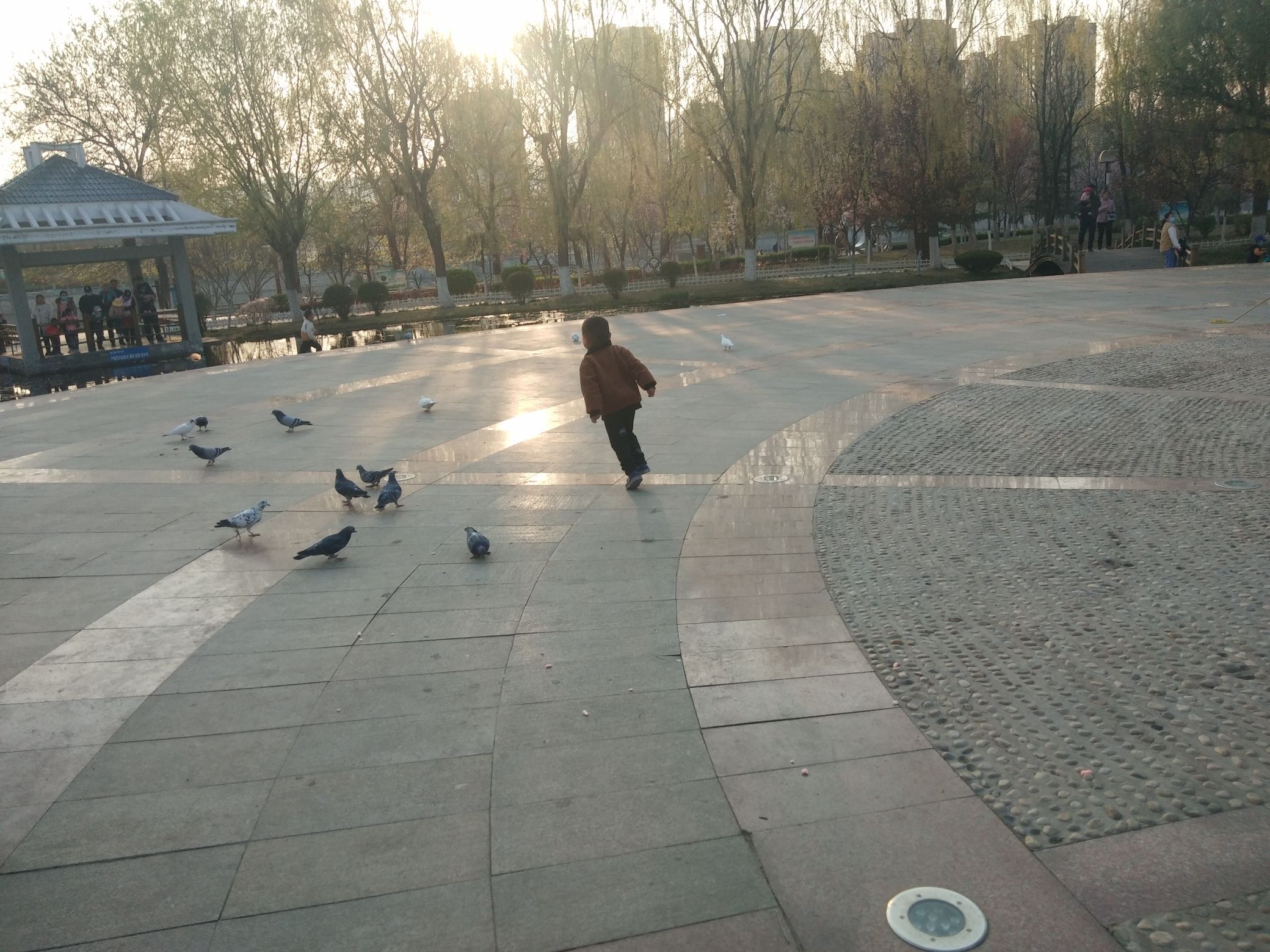 沂河源省级湿地公园旅行图片 2