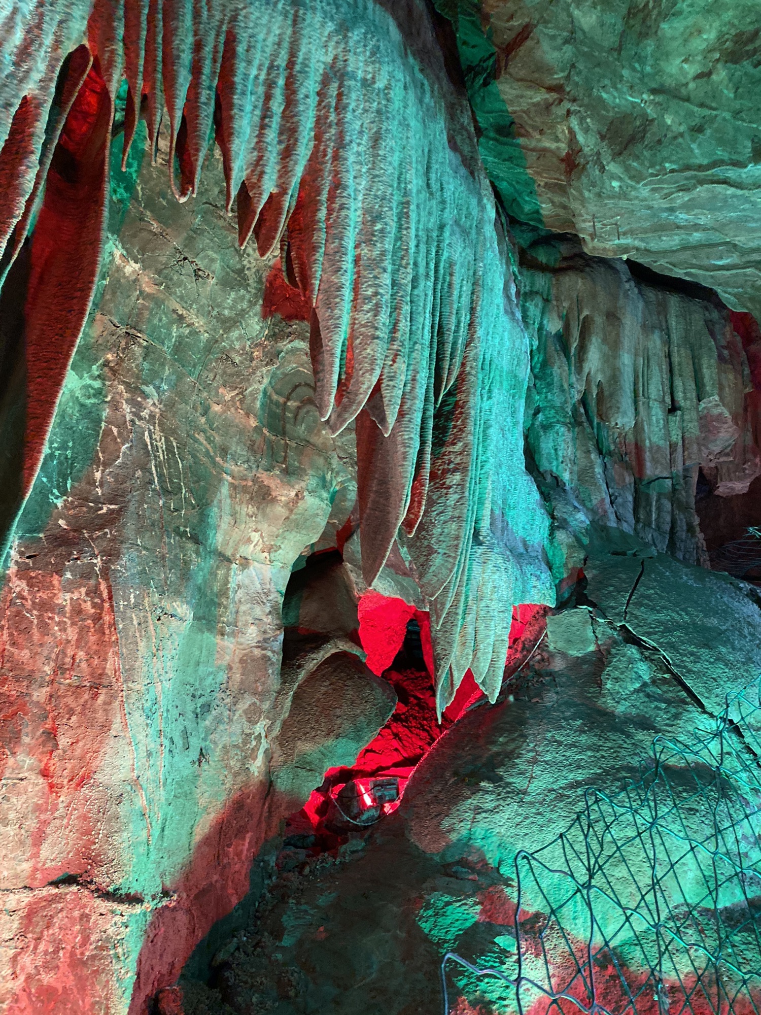 灵芝洞旅行图片 3