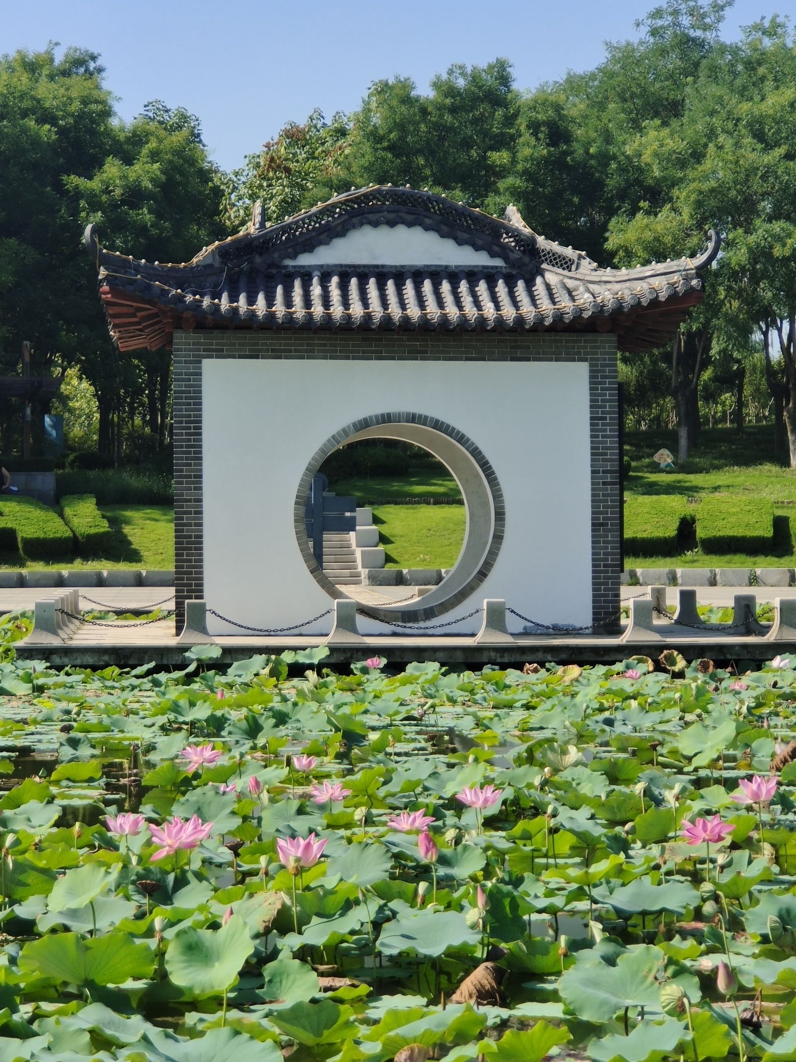红莲湖公园旅行图片 3