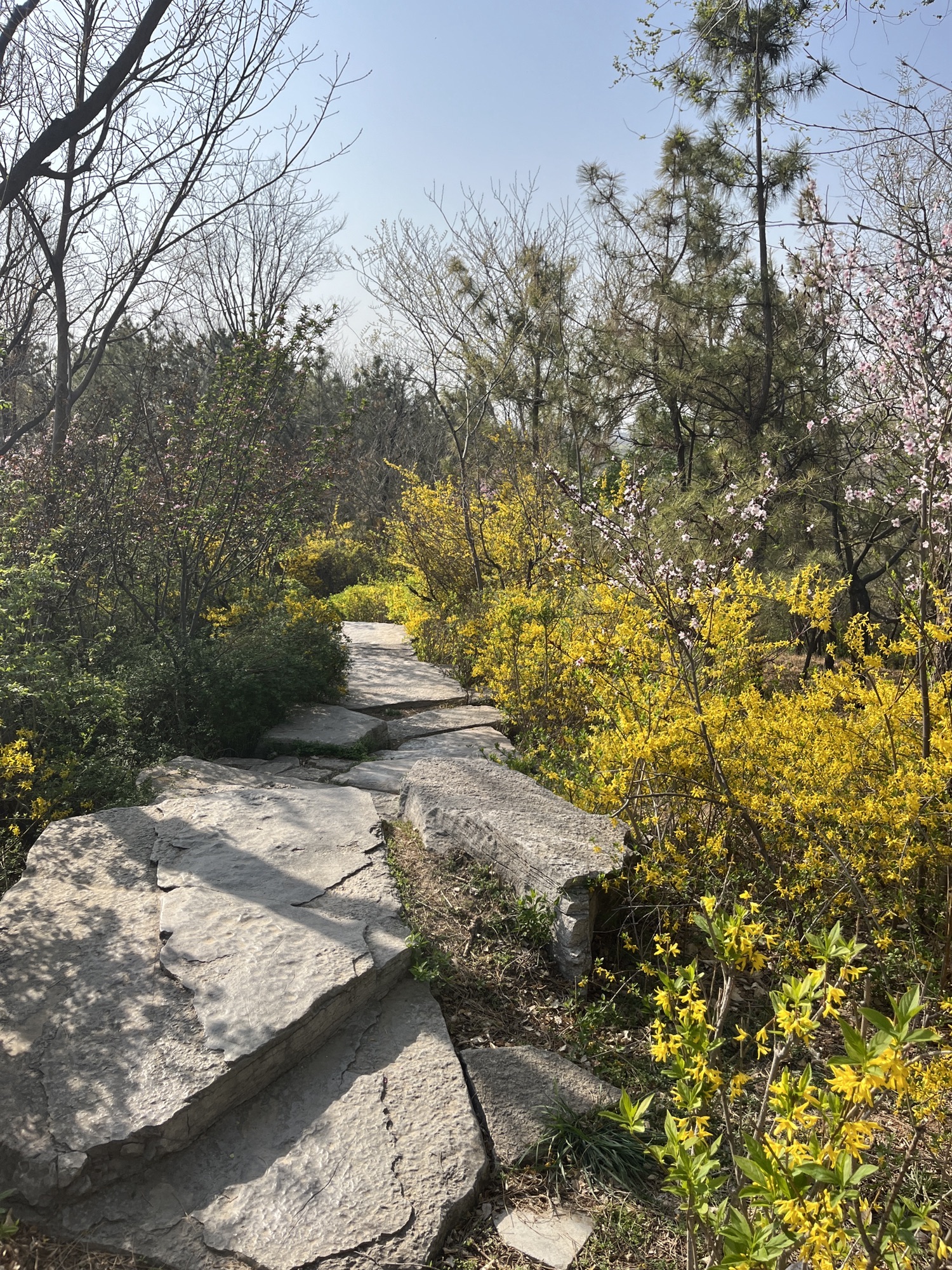 红莲湖公园旅行图片 1