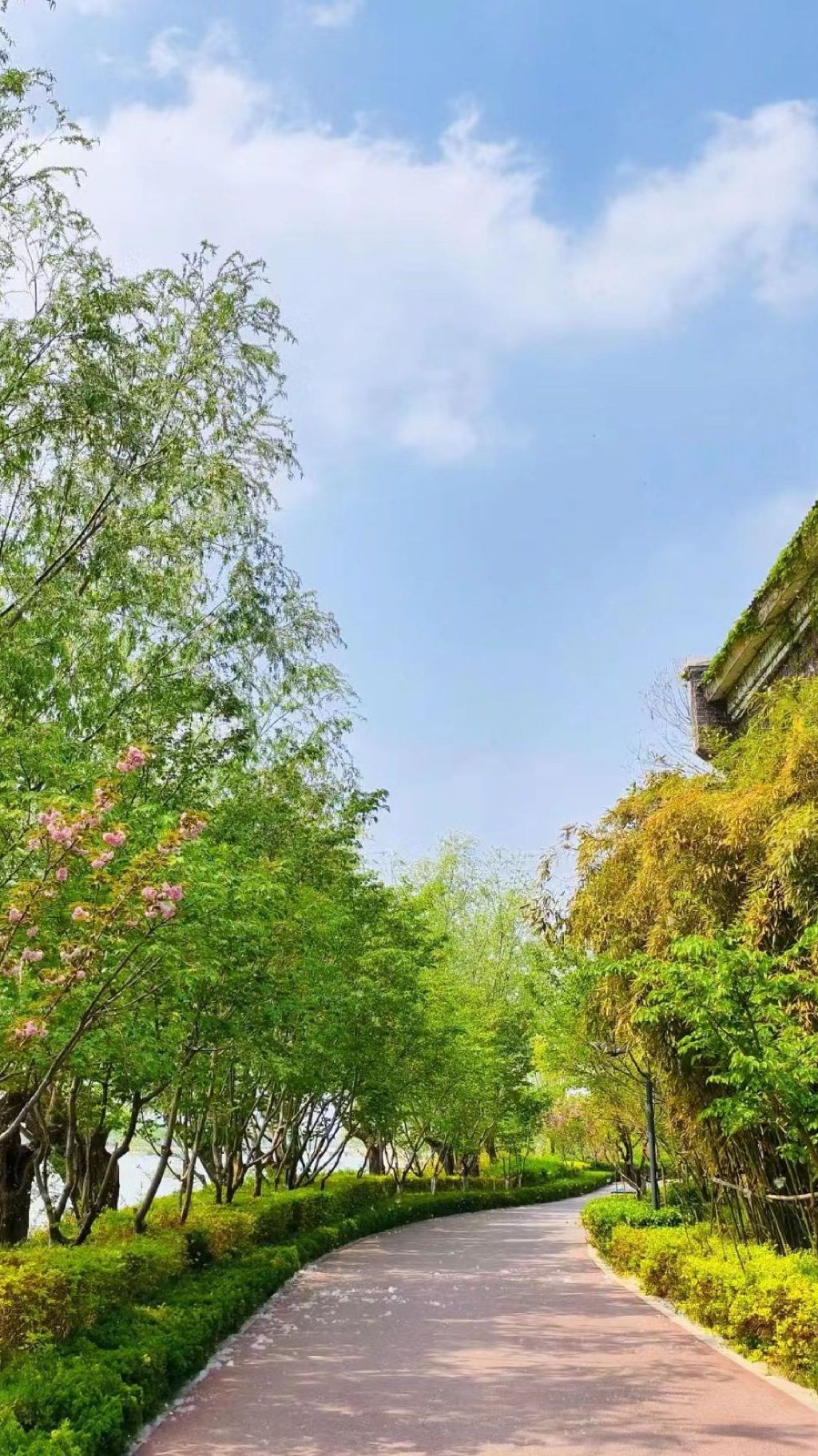 红莲湖公园旅行图片 1