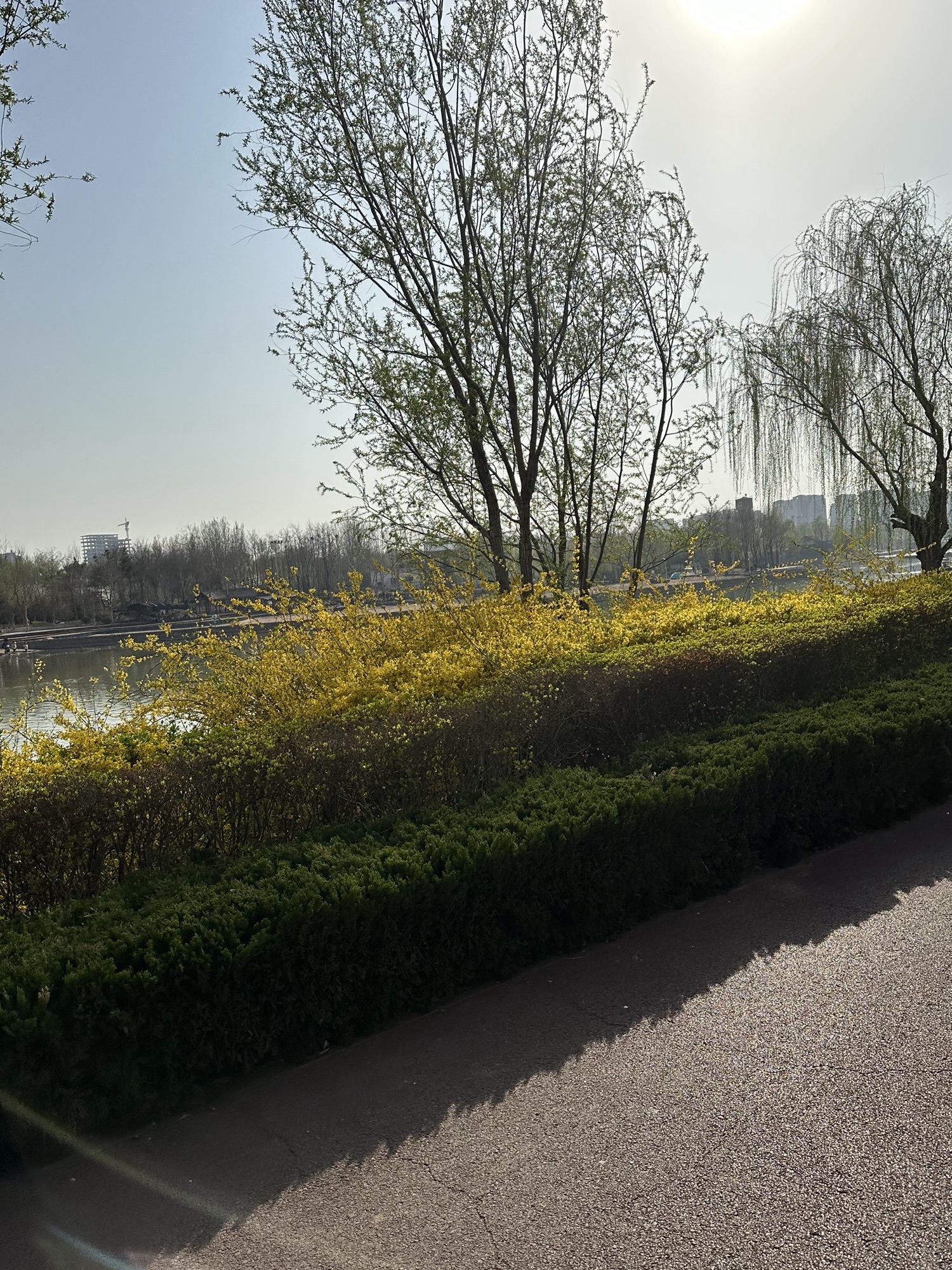 红莲湖公园旅行图片 2