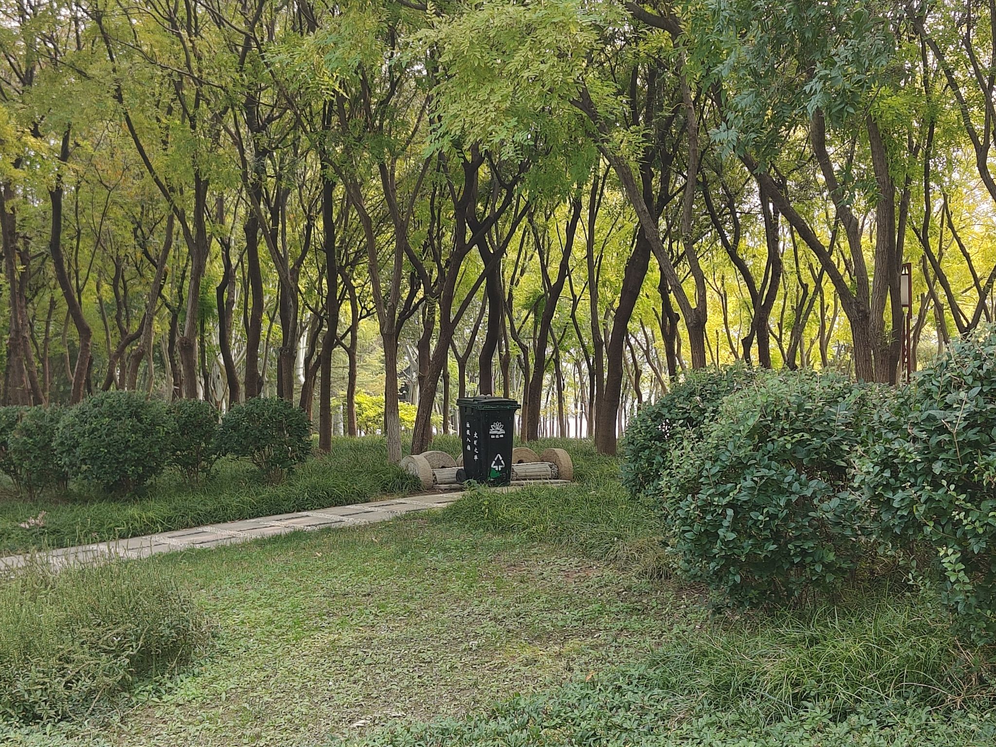 红莲湖公园旅行图片 3