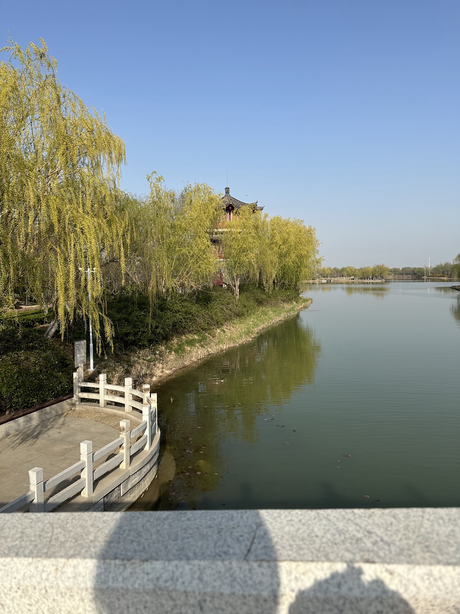 红莲湖公园旅行图片 1