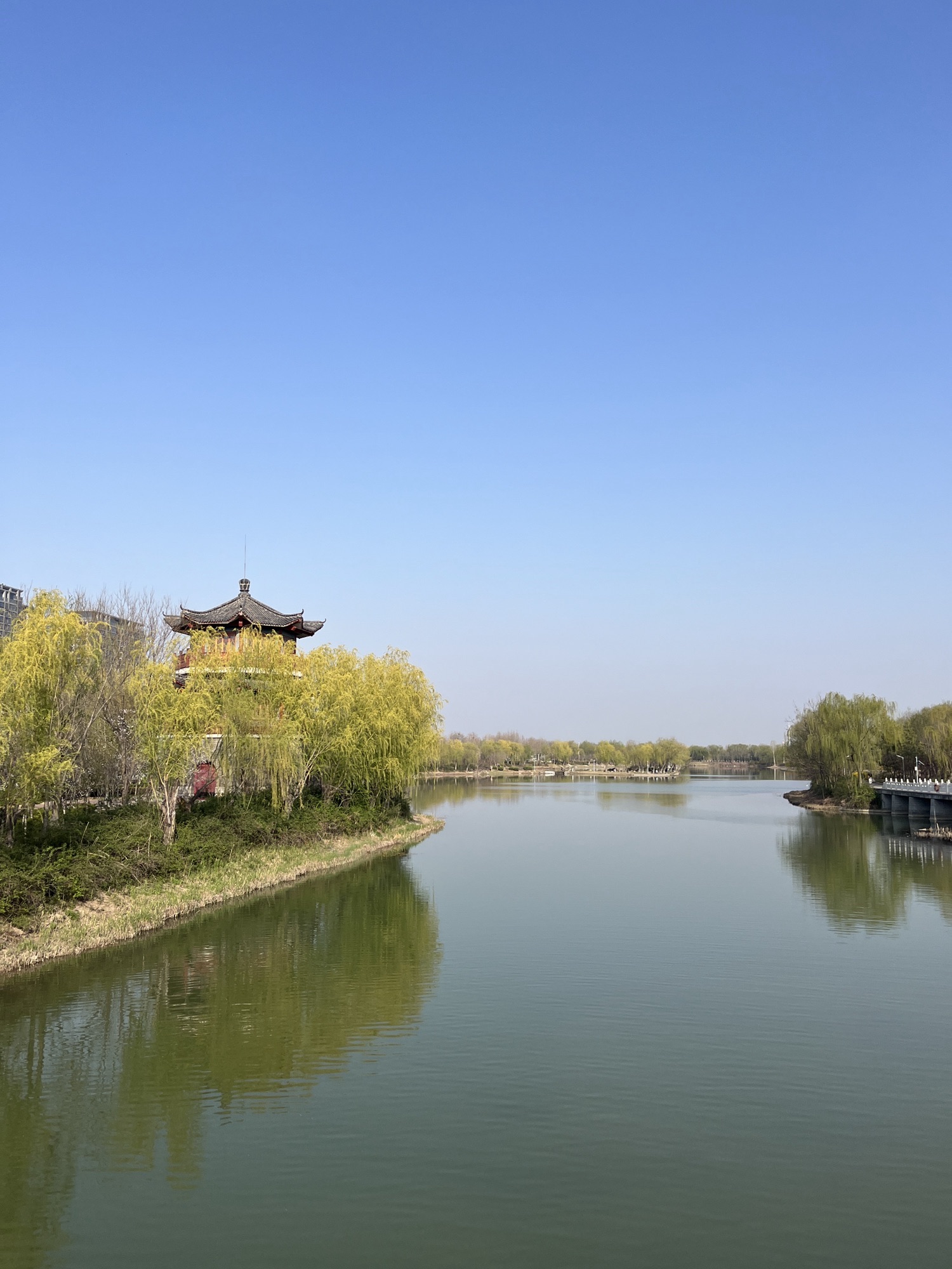红莲湖公园旅行图片 3