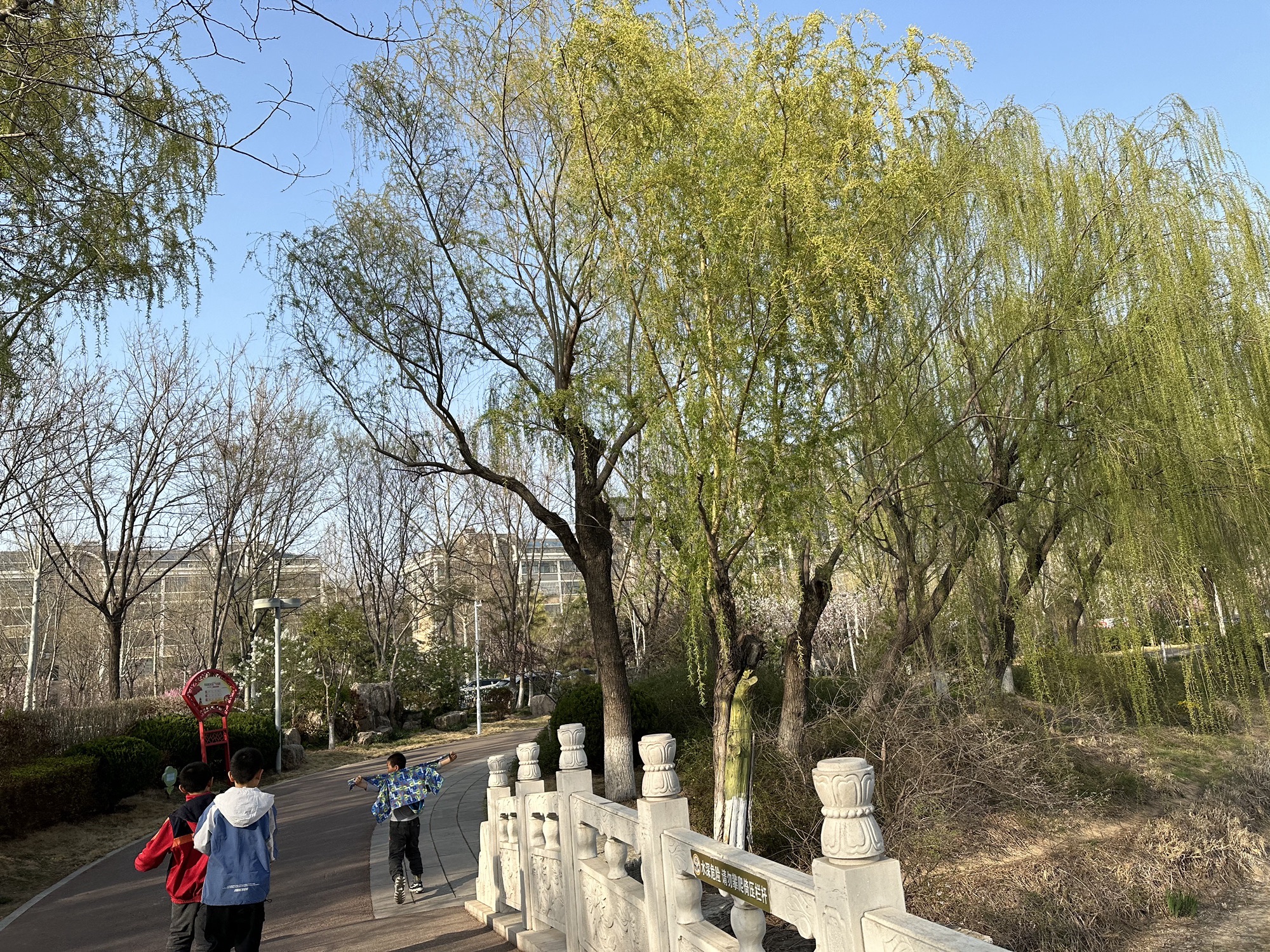红莲湖公园旅行图片 3