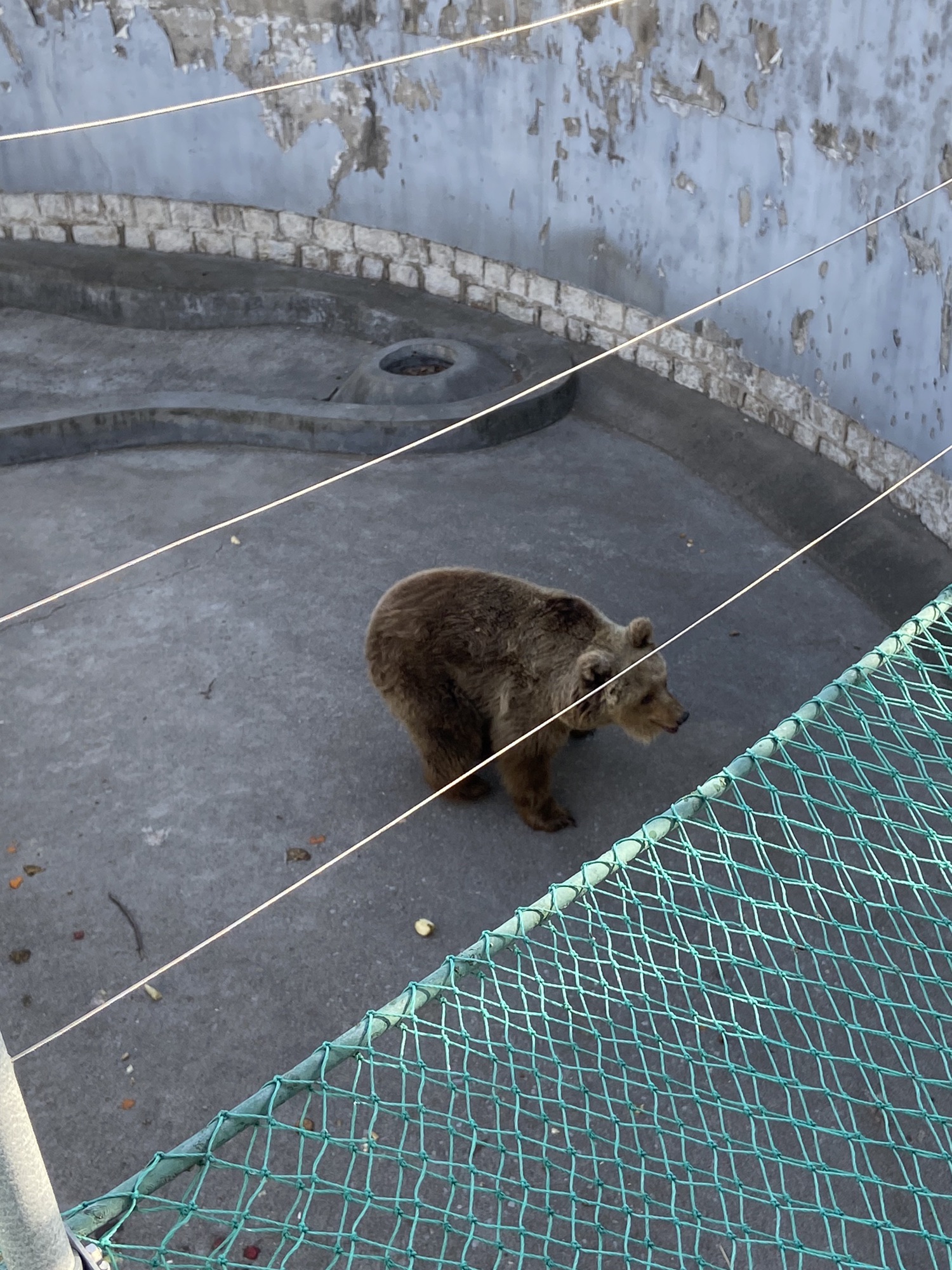 鲁泰公园旅行图片 1