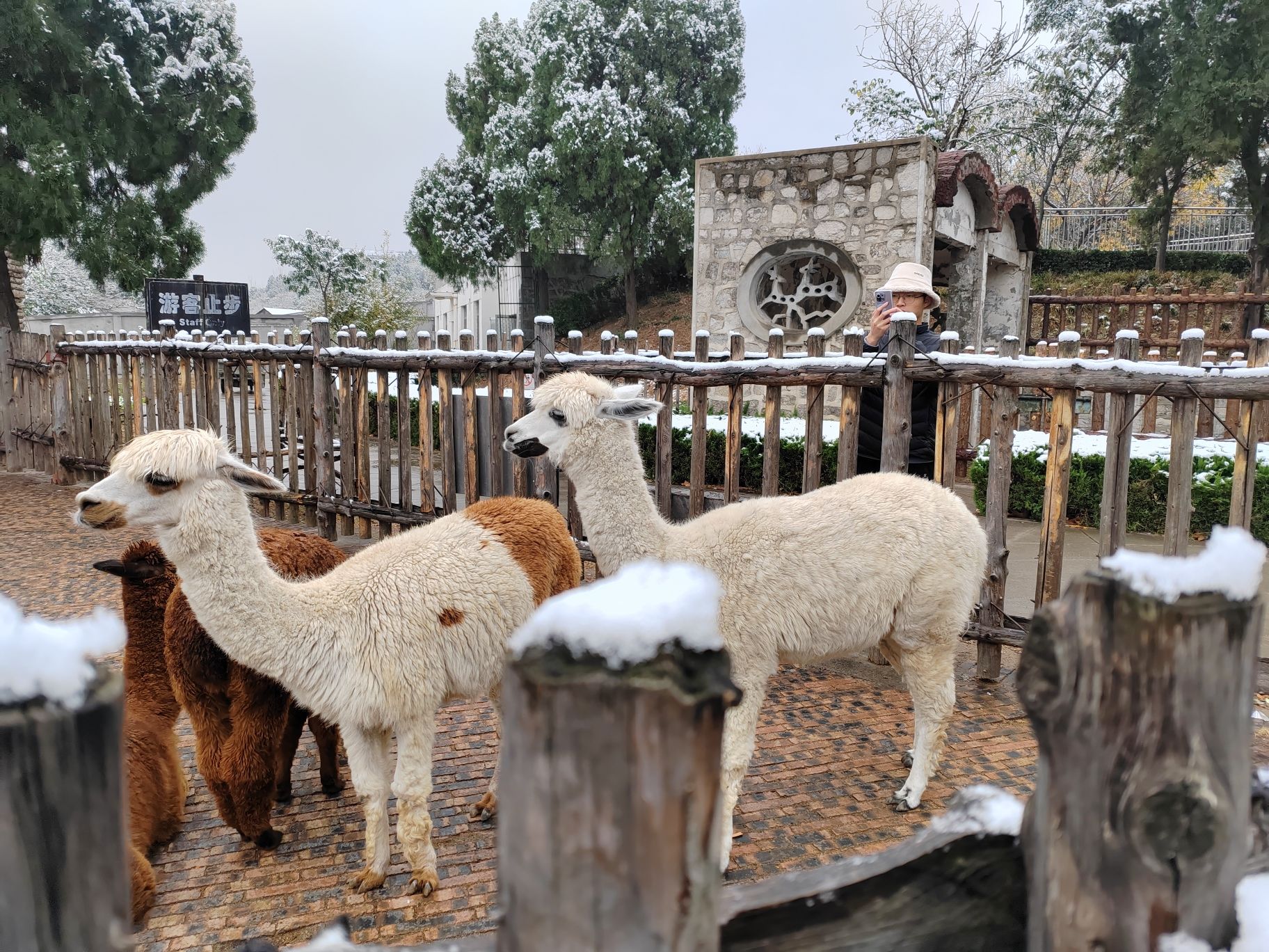 鲁泰公园旅行图片 2