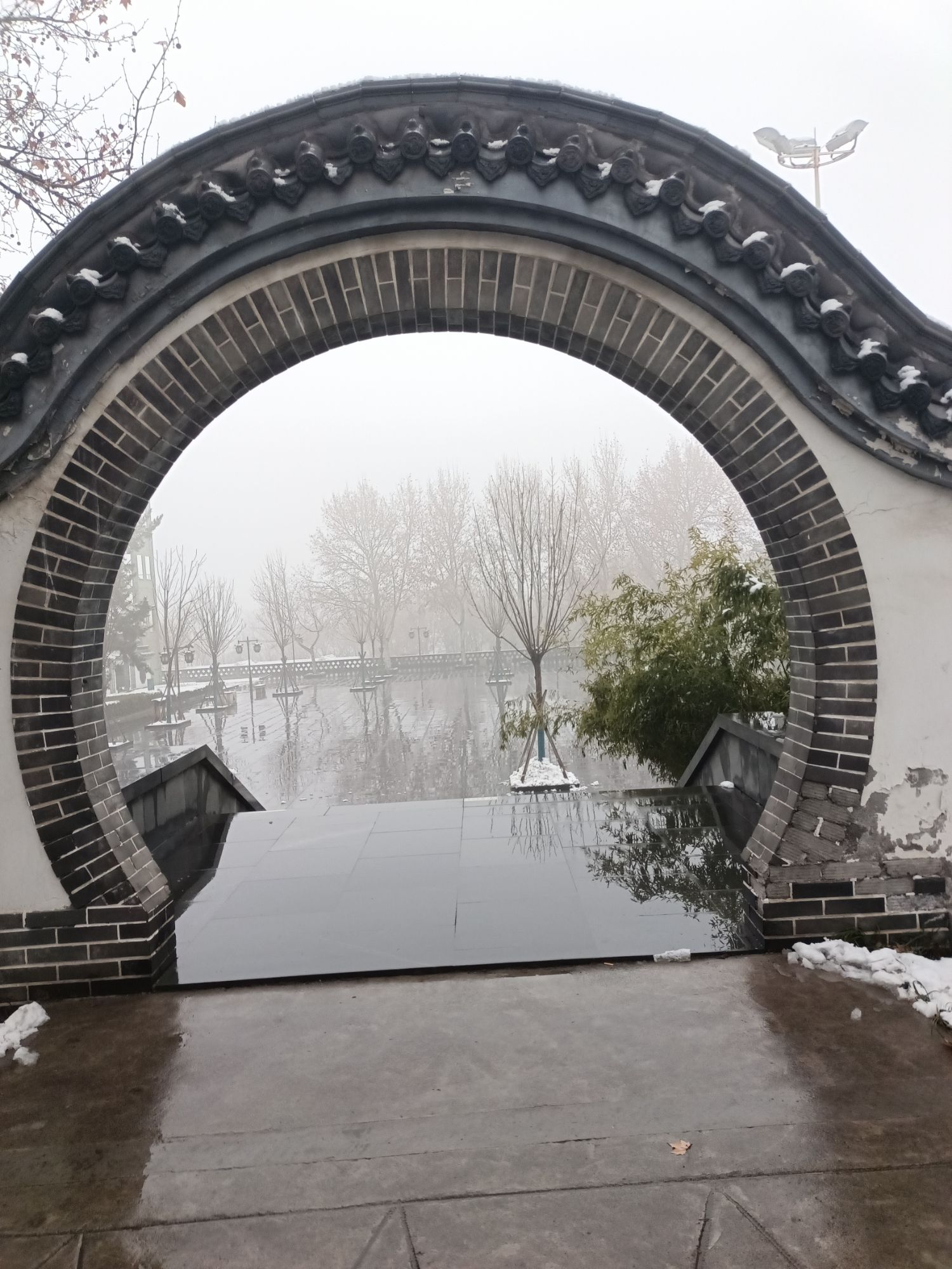 鲁泰公园旅行图片 3
