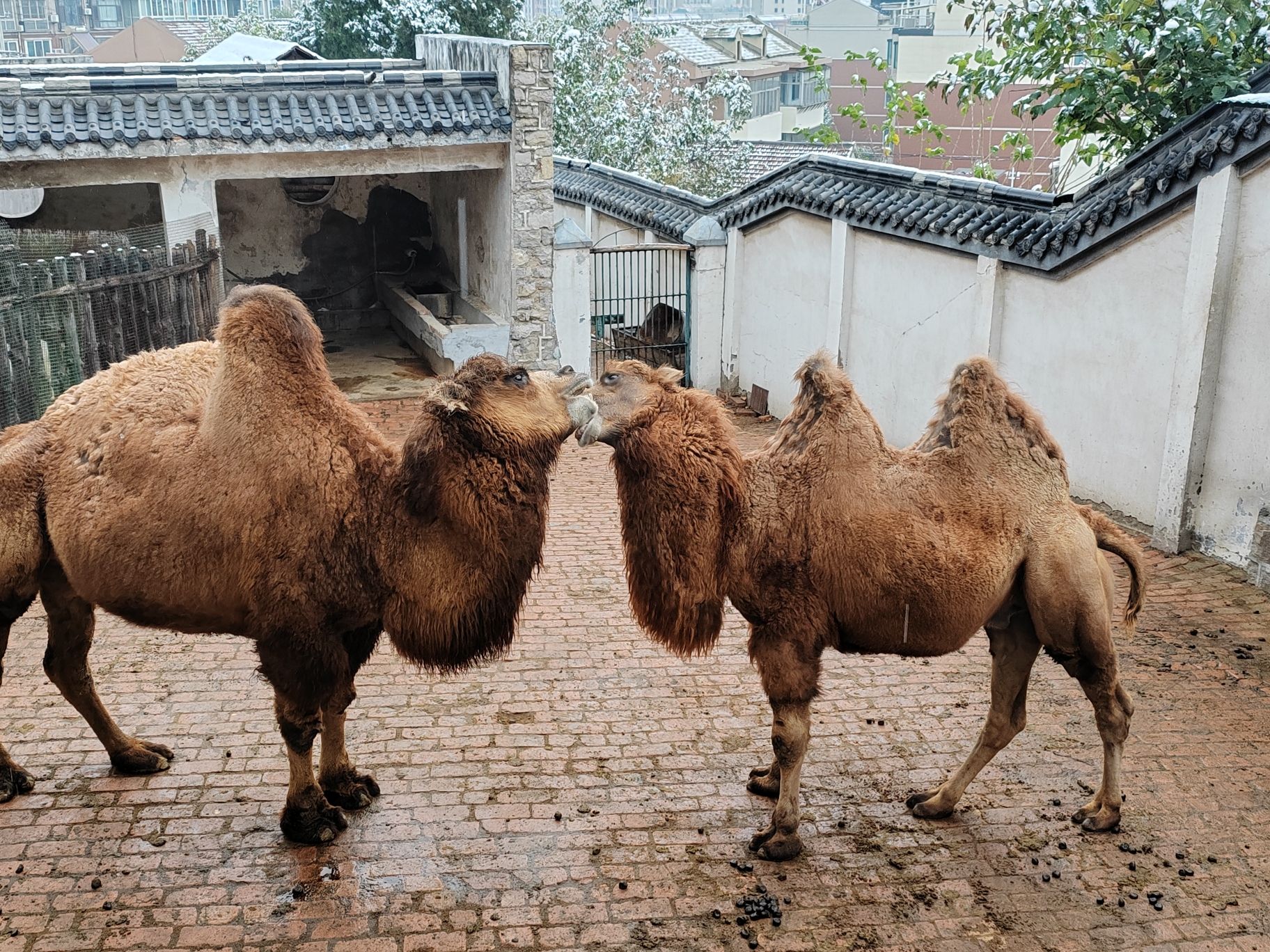 鲁泰公园旅行图片 1