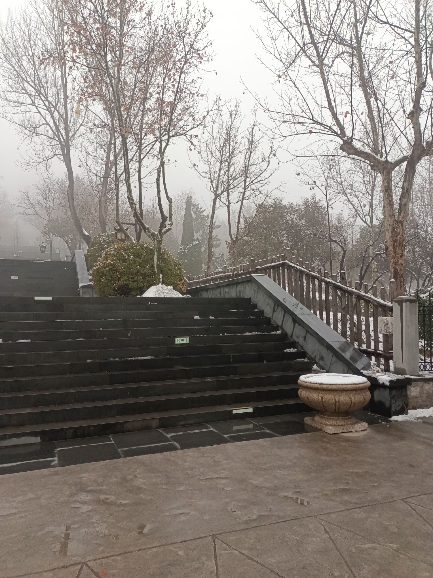 鲁泰公园旅行图片 2