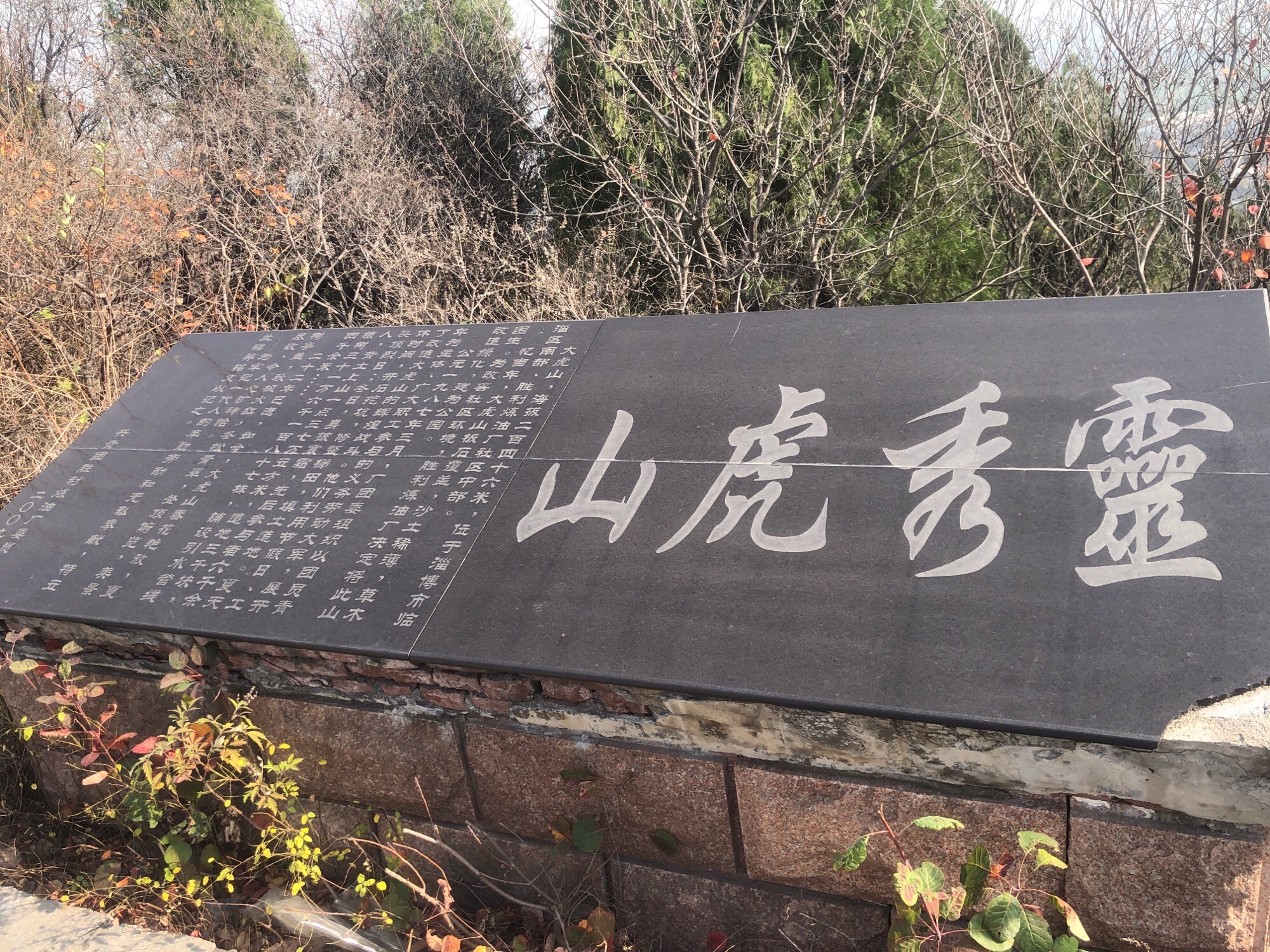 胜炼公园旅行图片 2