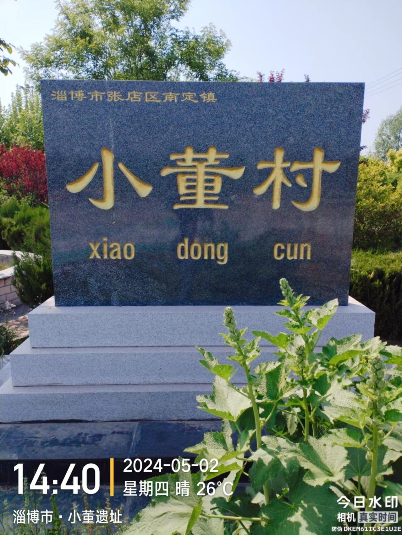 小董遗址旅行图片 1