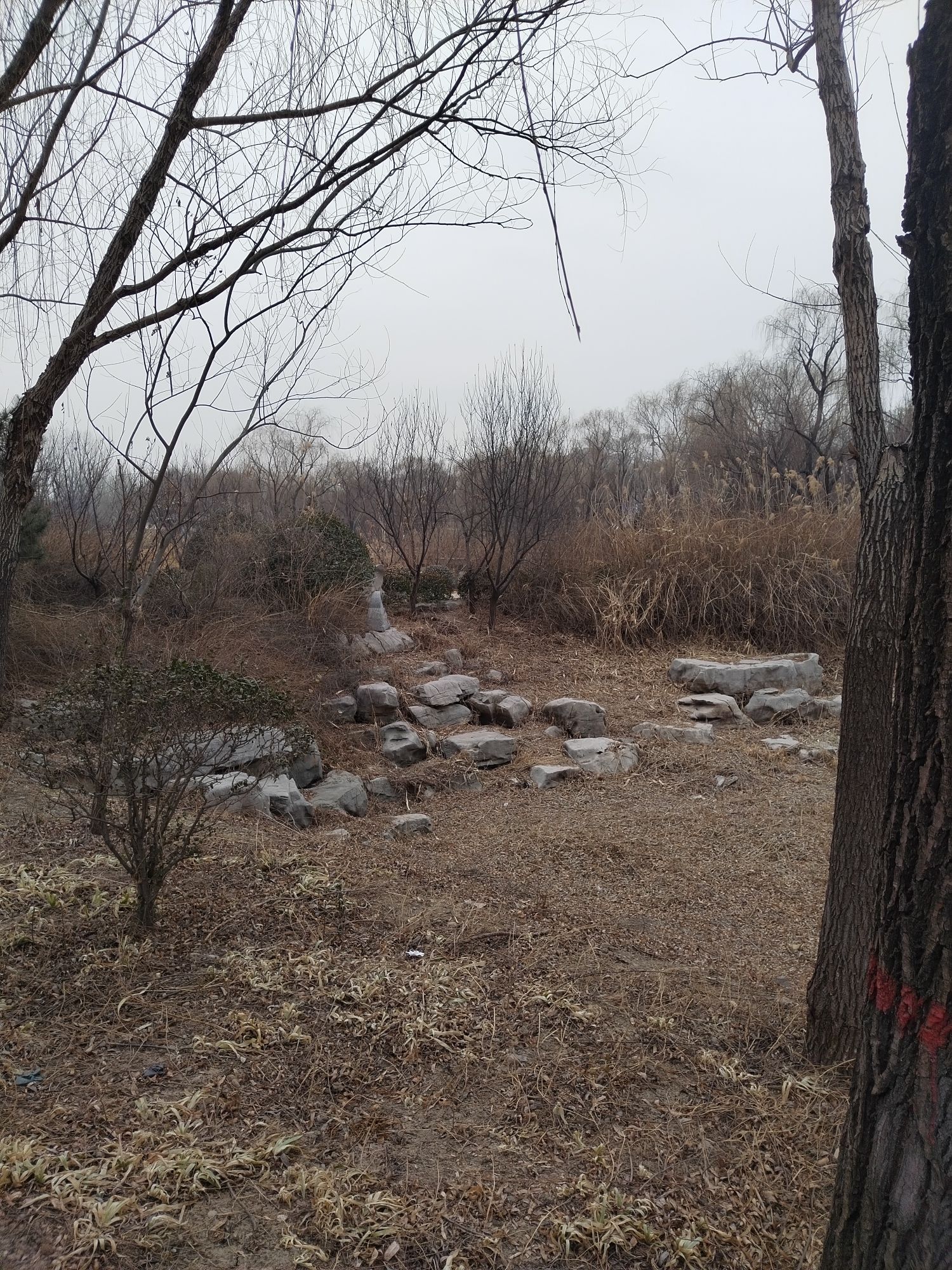 柳泉湿地公园旅行图片 2